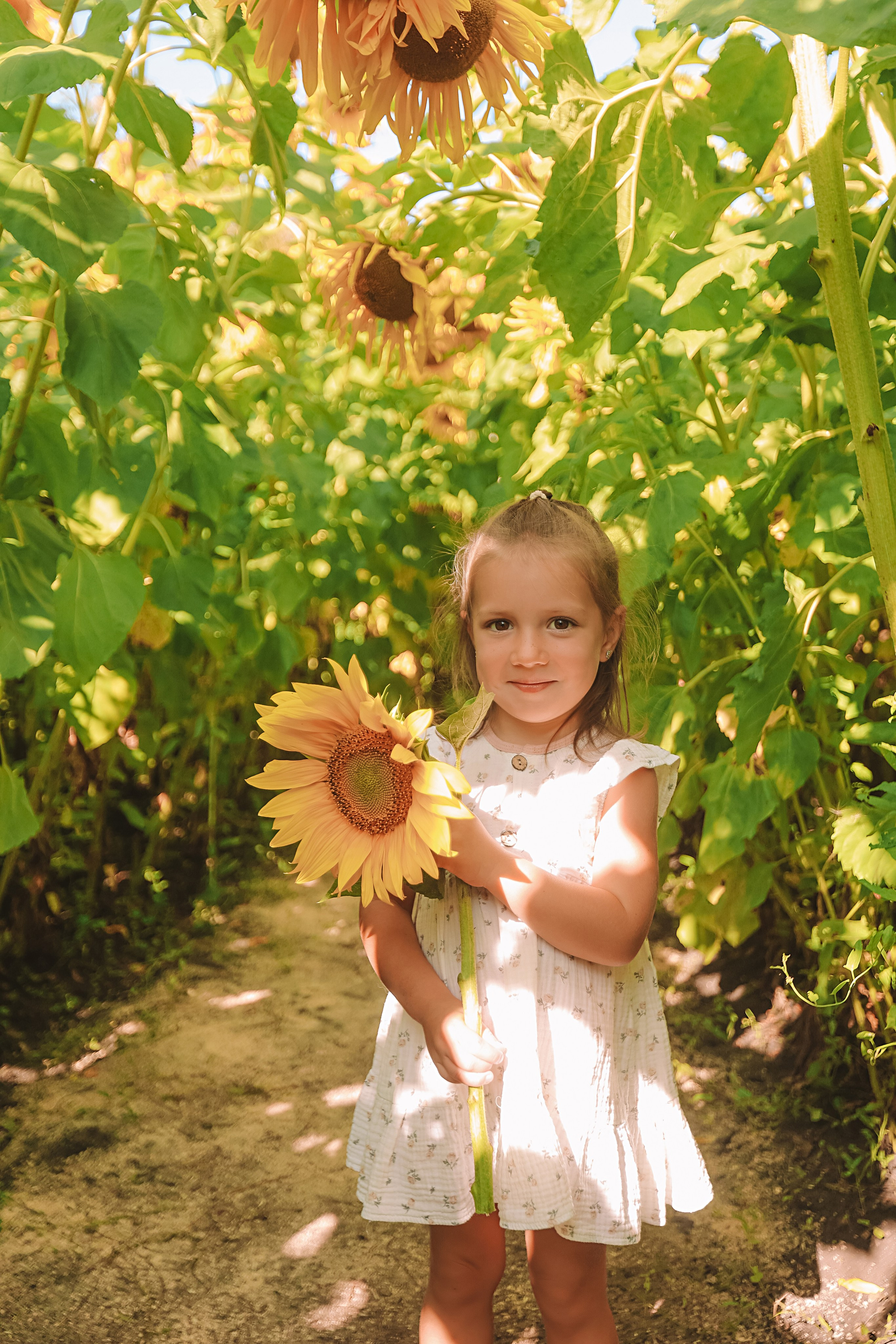 Подсолнухи. Семейный фотограф Тюмень, фотограф на роды Салмина Мария