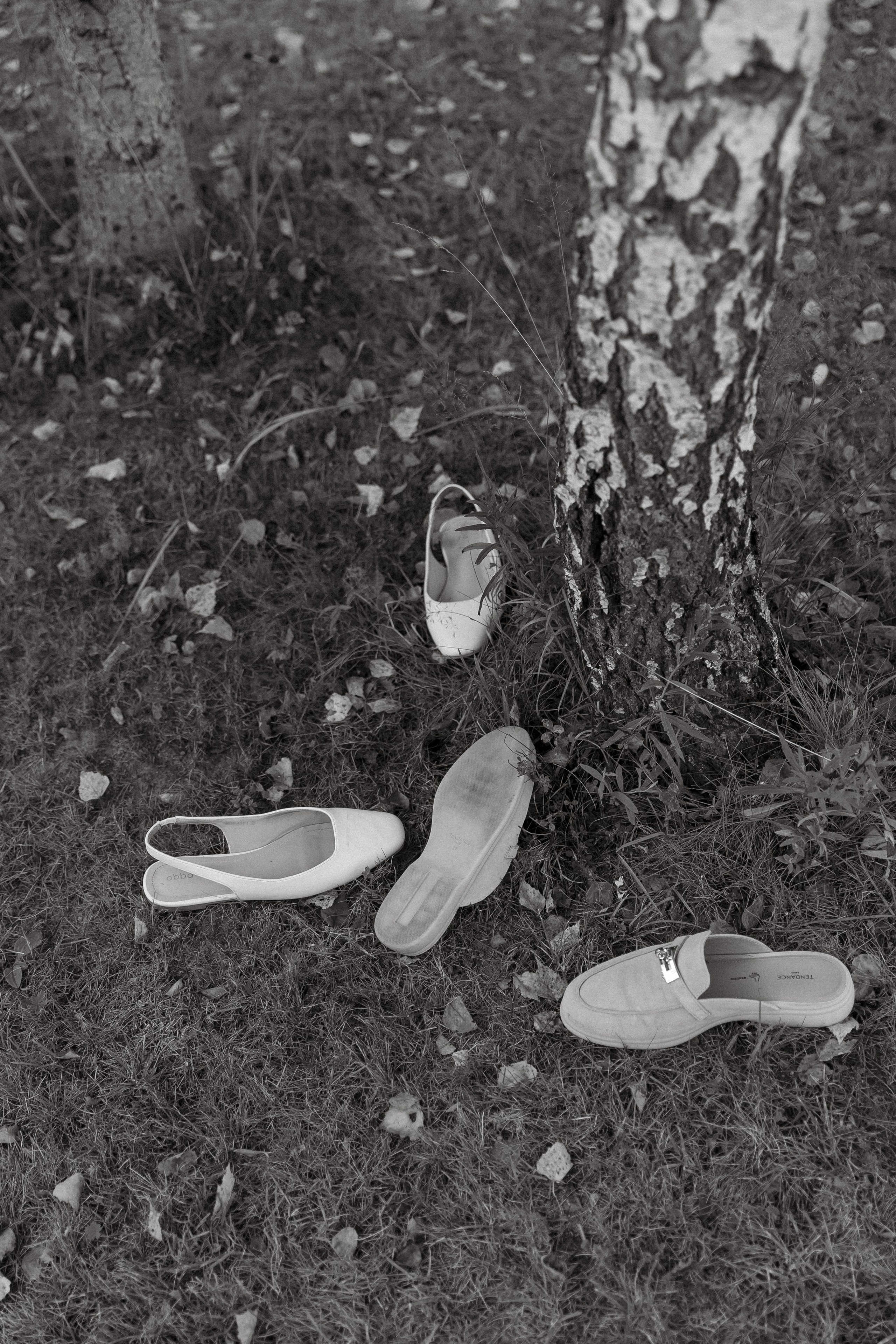 Wedding day  Иван и Сабина. Свадебный фотограф Колесников Антон