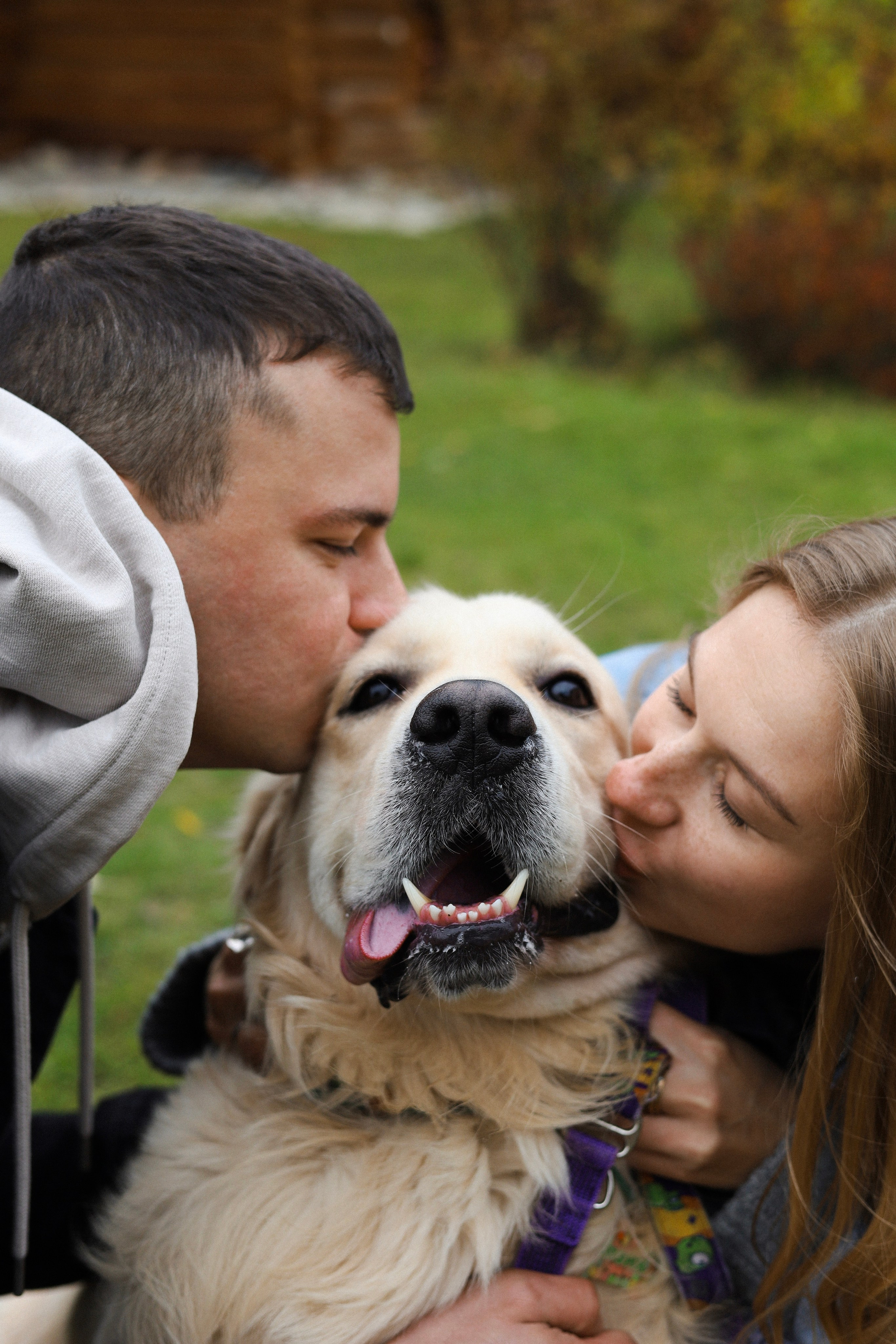 Фрэнк, Даша и Максим. Фотограф-анималист Ксения Шевцова|Москва
