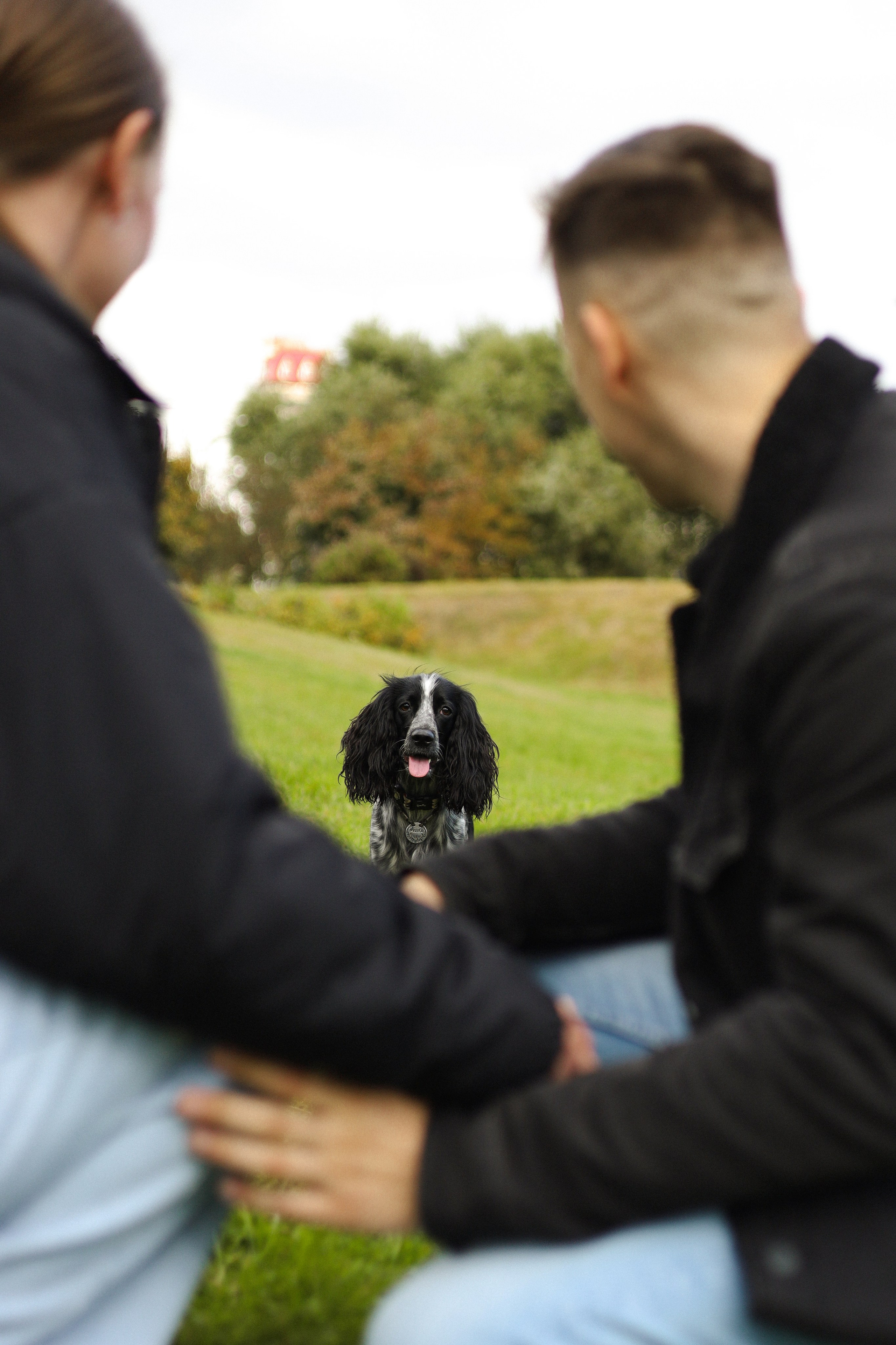 Милка, Вероника и Тимофей. Фотограф-анималист Ксения Шевцова|Москва