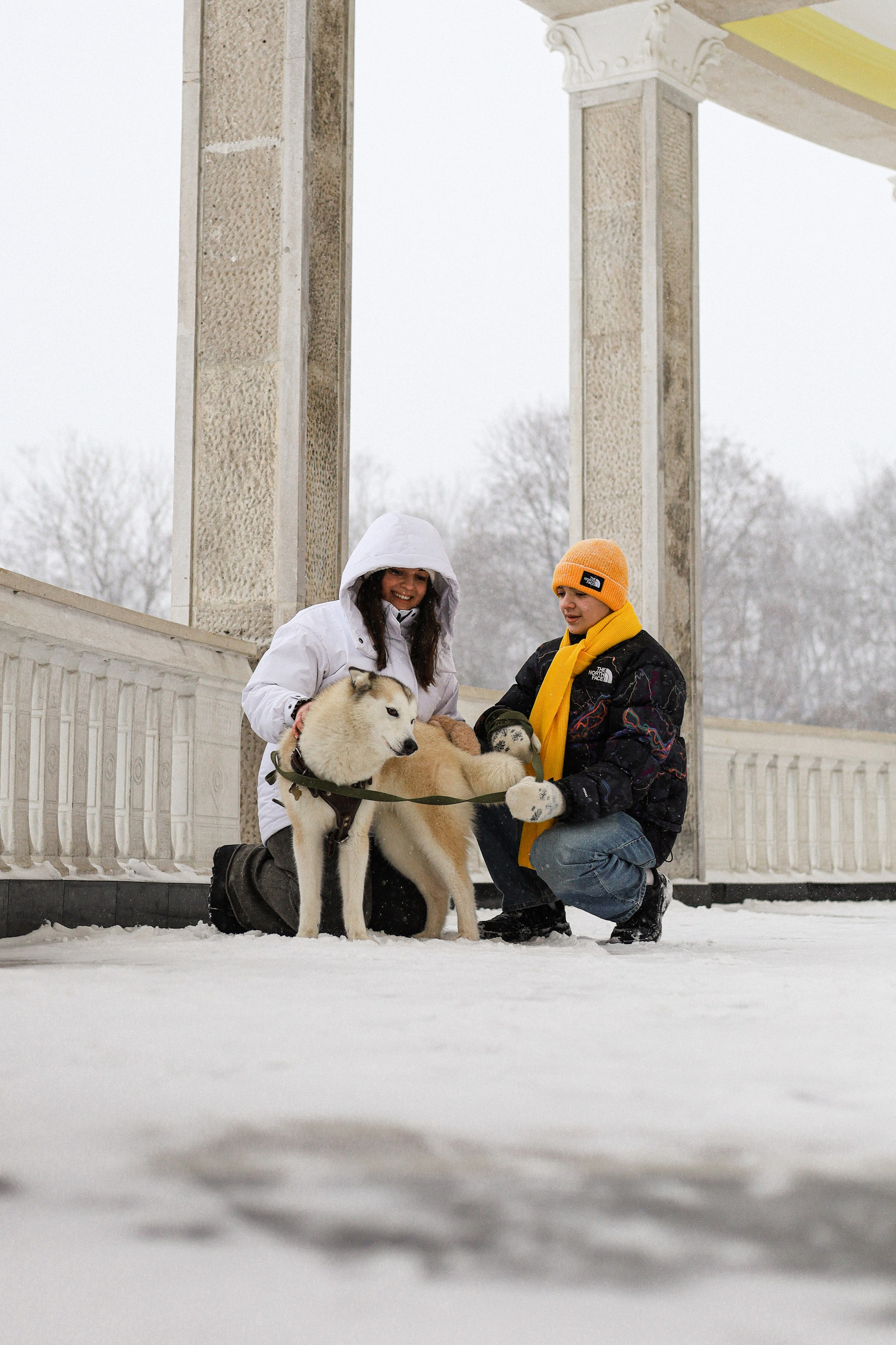Мила, Лиза и Матвей. Фотограф-анималист Ксения Шевцова|Москва