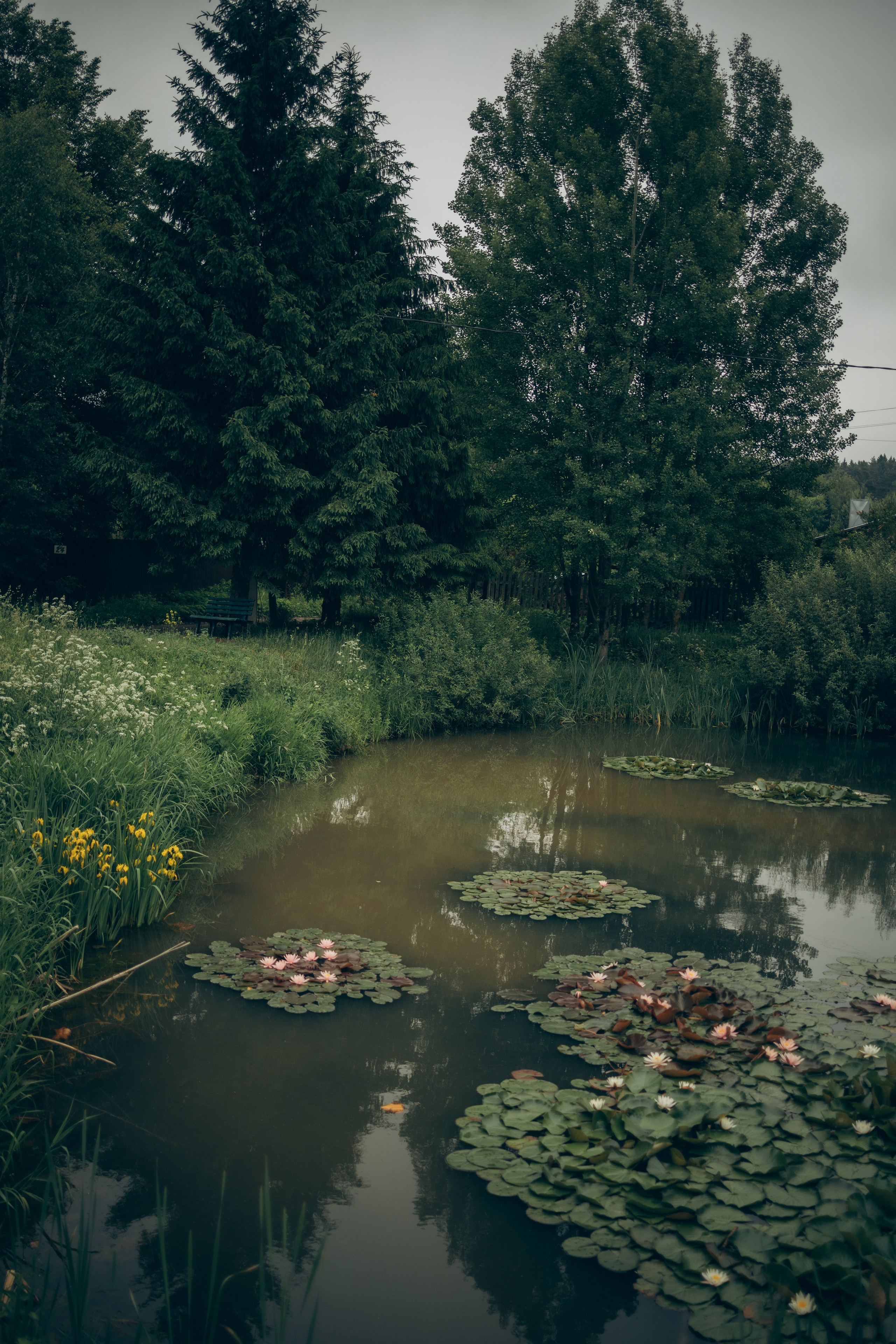 Istra. Женский фотограф Истра