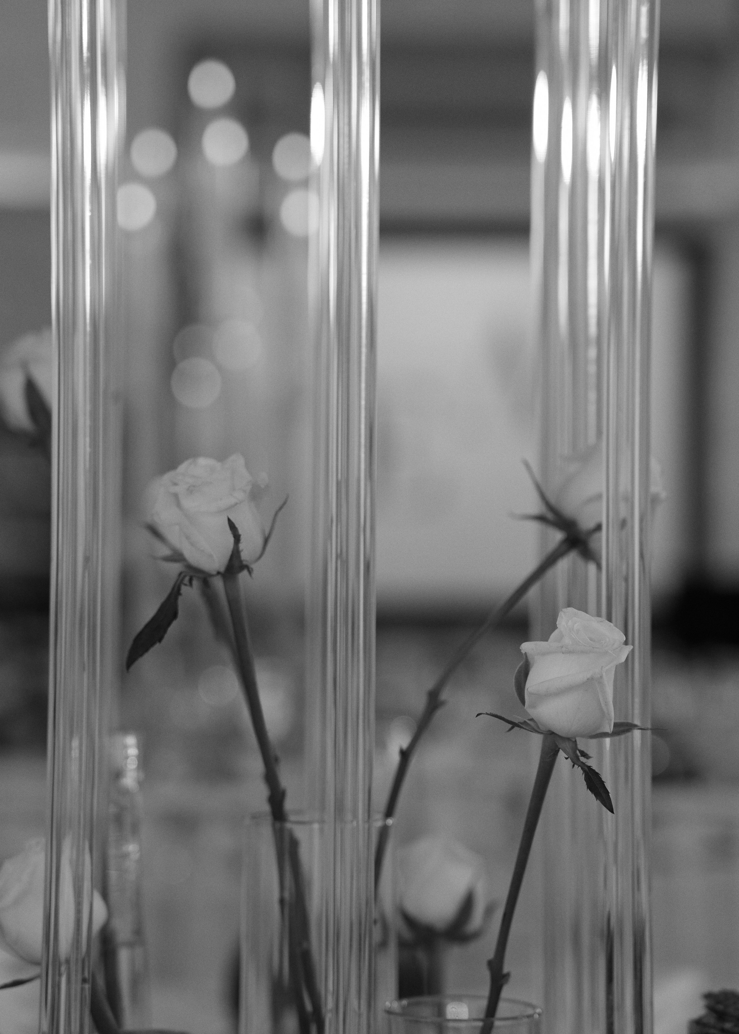 Ервант & Любовь. Свадебный фотограф Кристина Вениченко