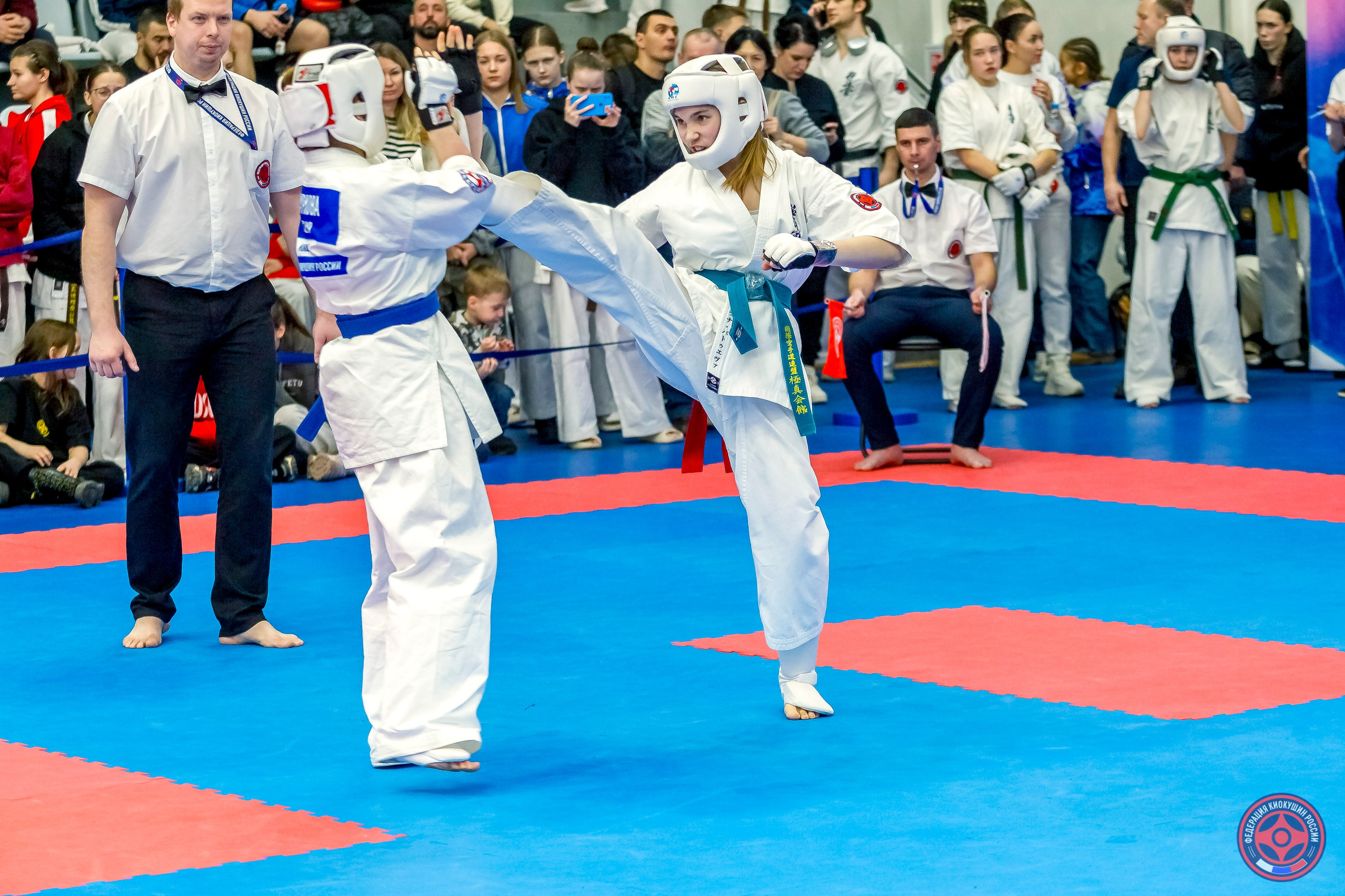 Международный турнир по киокушин «Открытый кубок Seiken». Репортажная съемка в Москве и области. Анималистика