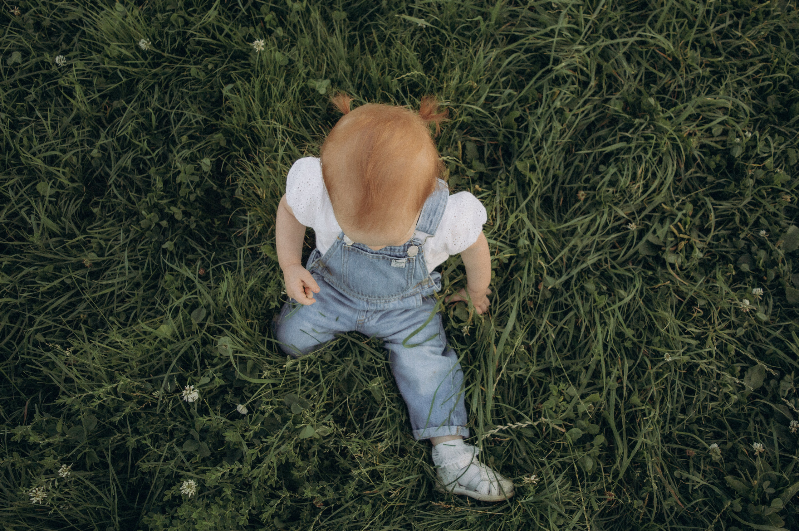 Аромат августа. Семейная летняя фотосессия в парке. Москва. Юлия Левада Семейный и женский фотограф