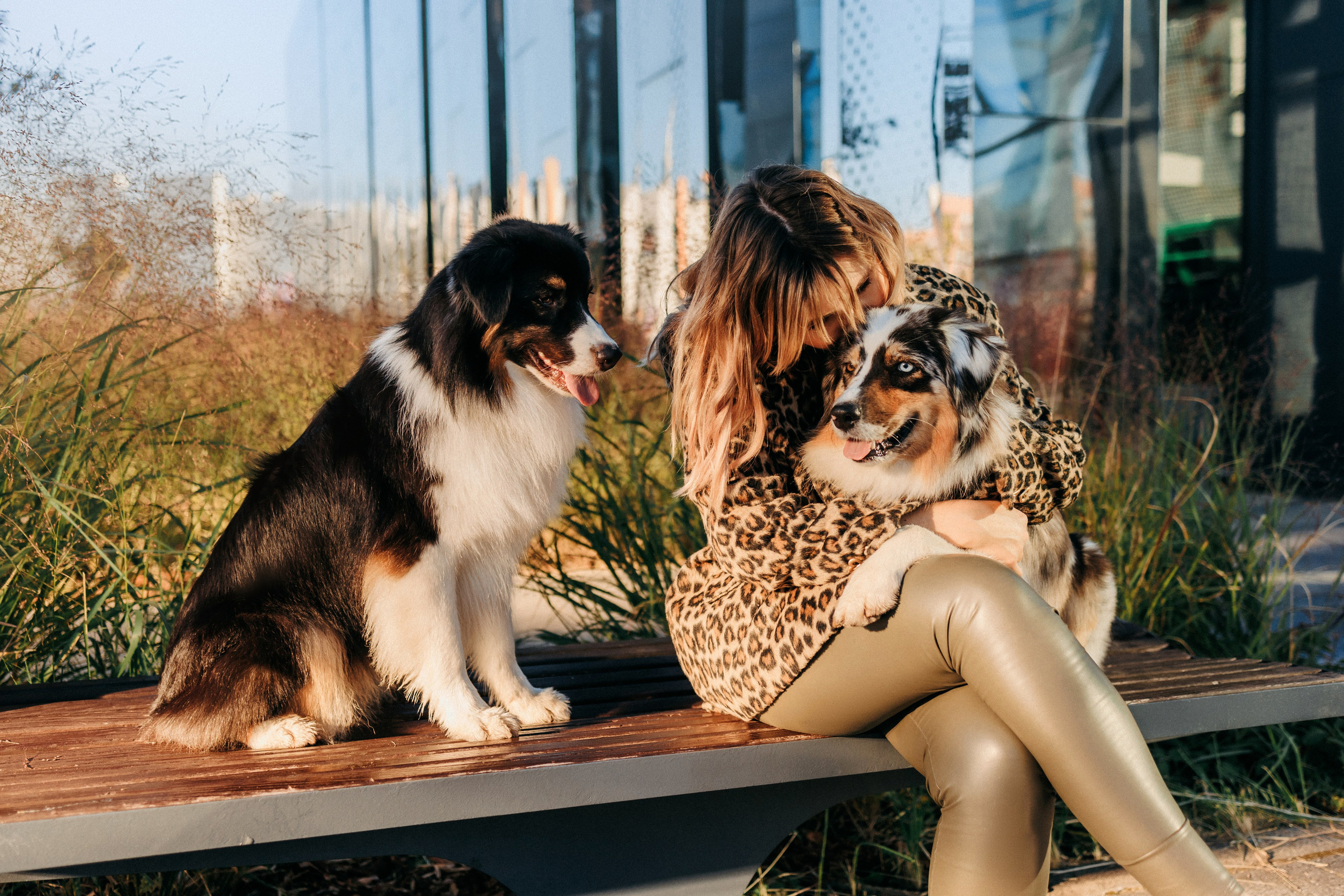 Аня, Чарли и Ева. Фотограф-анималист Елена Радченко, Москва