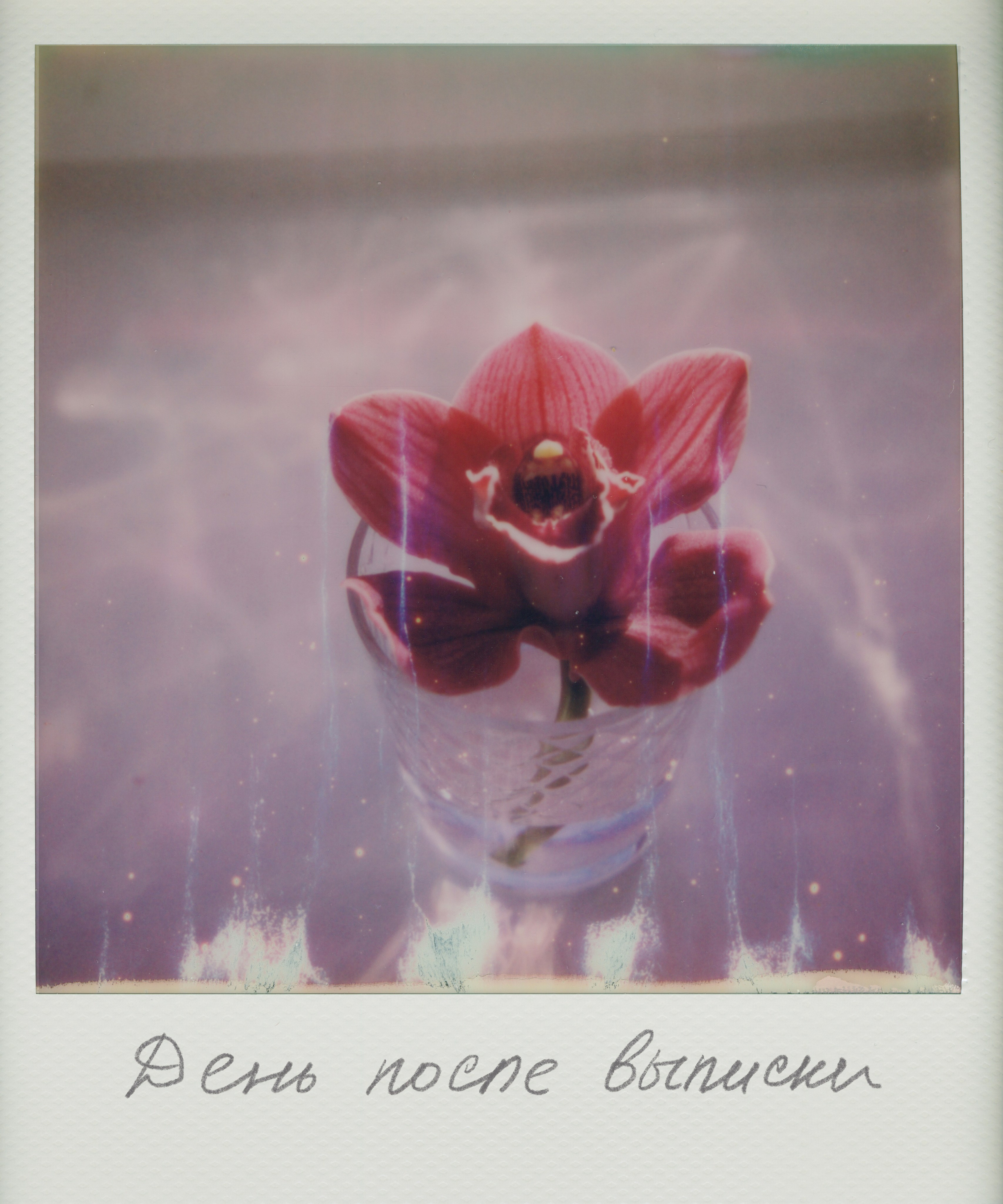 Mom's Diary. Заставка