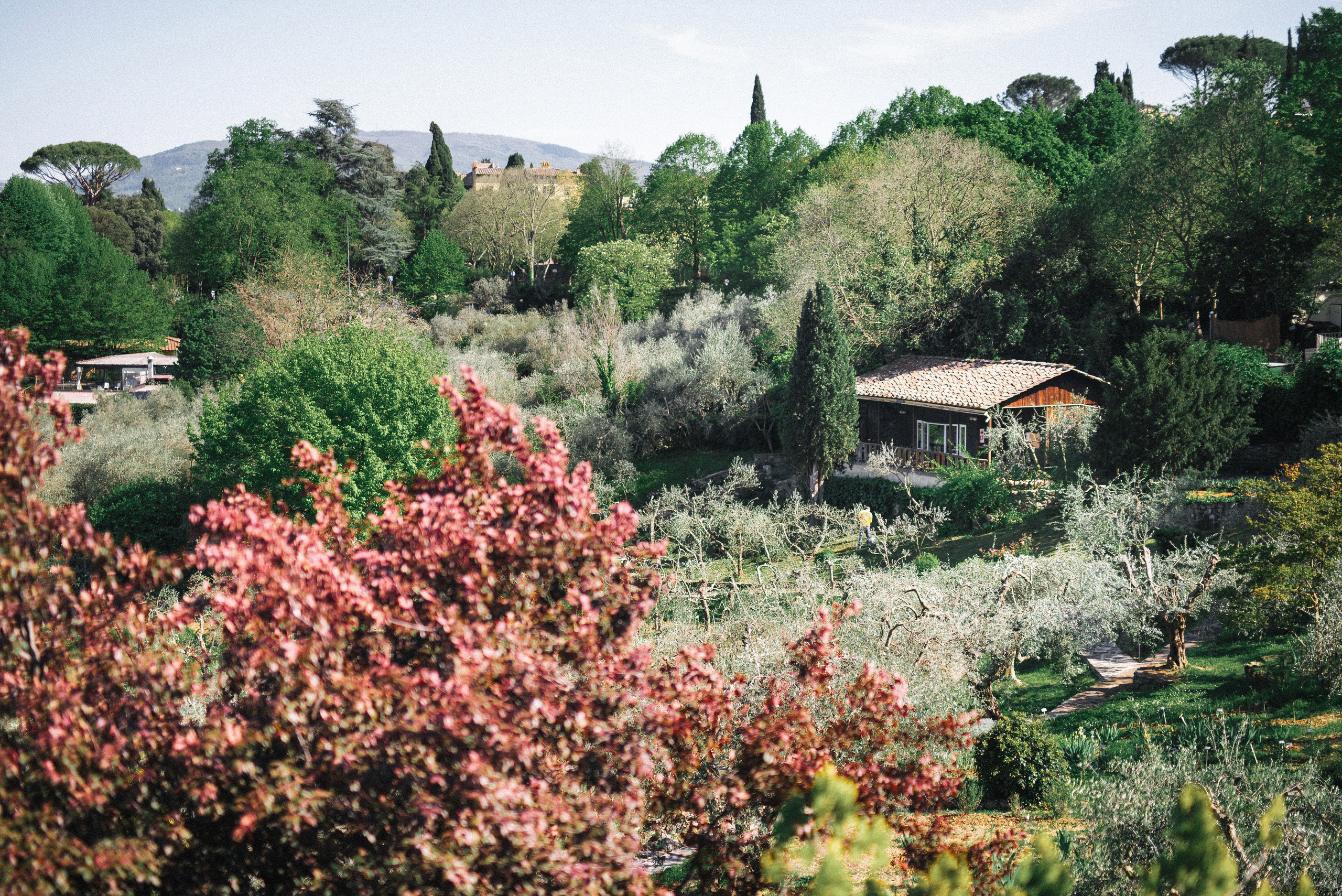 Свадебный фотограф Новосибирск