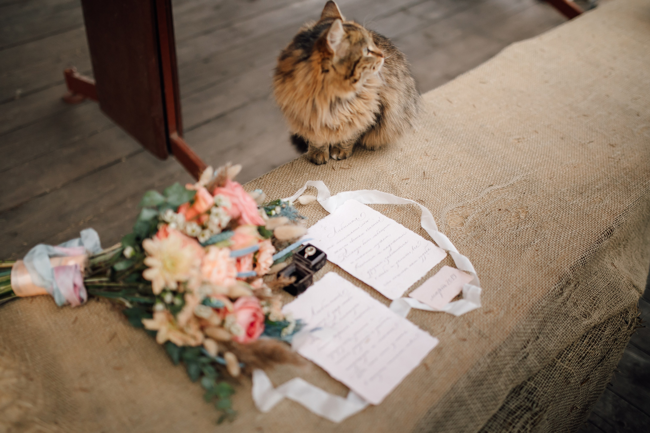 ANNA&MARK. Anastasiia Vainer – Hochzeits- und Porträtfotografin in Deutschland und ganz Europa