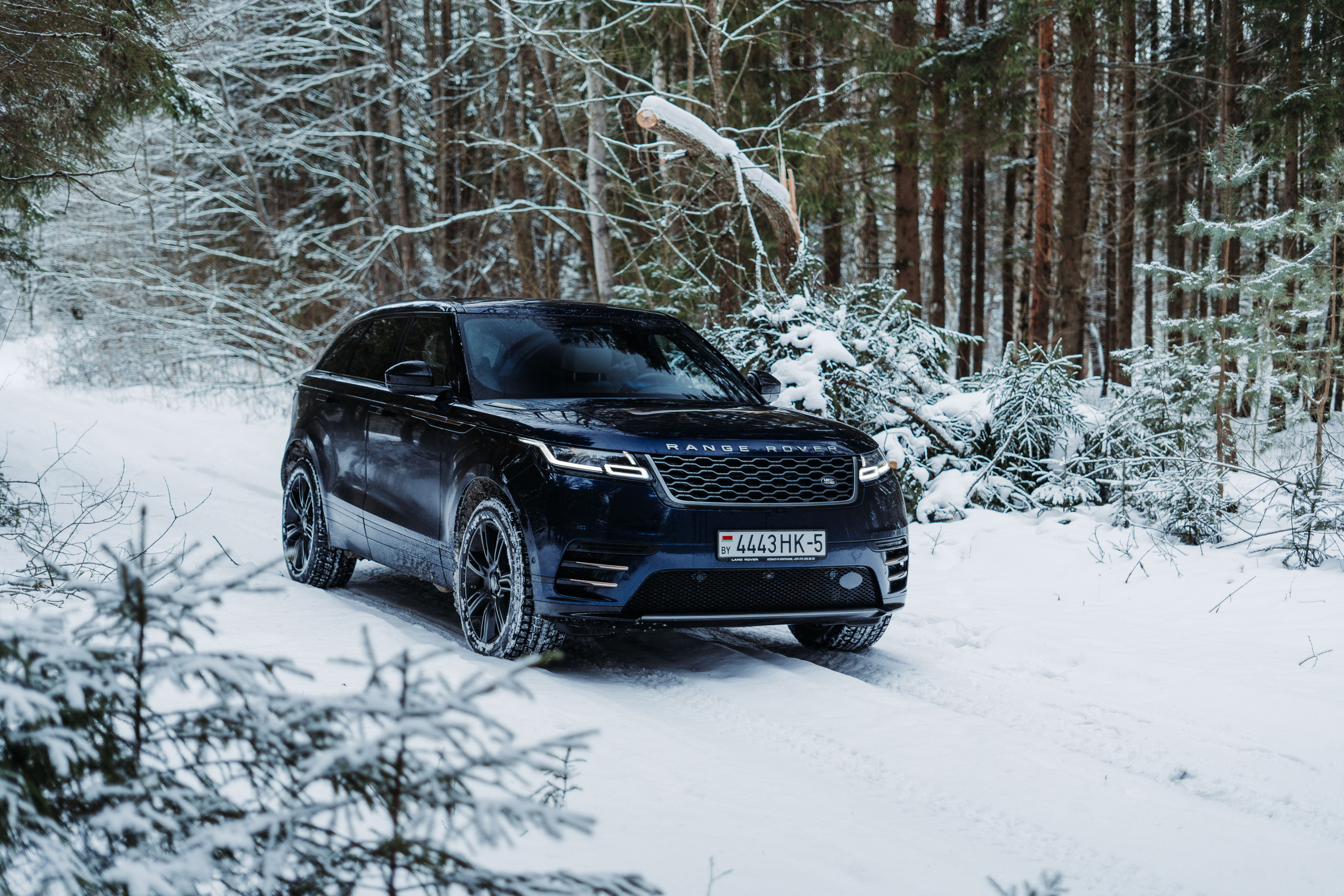 Kirill Zakabluk: Automotive Content Creator