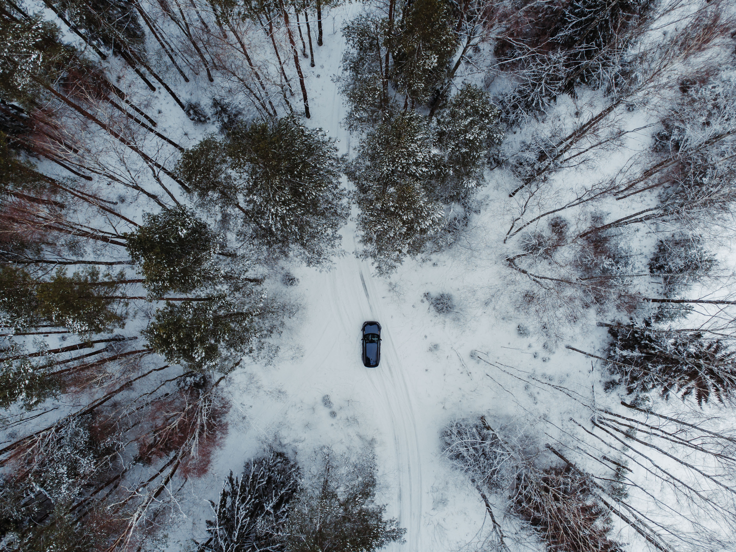 Kirill Zakabluk: Automotive Content Creator