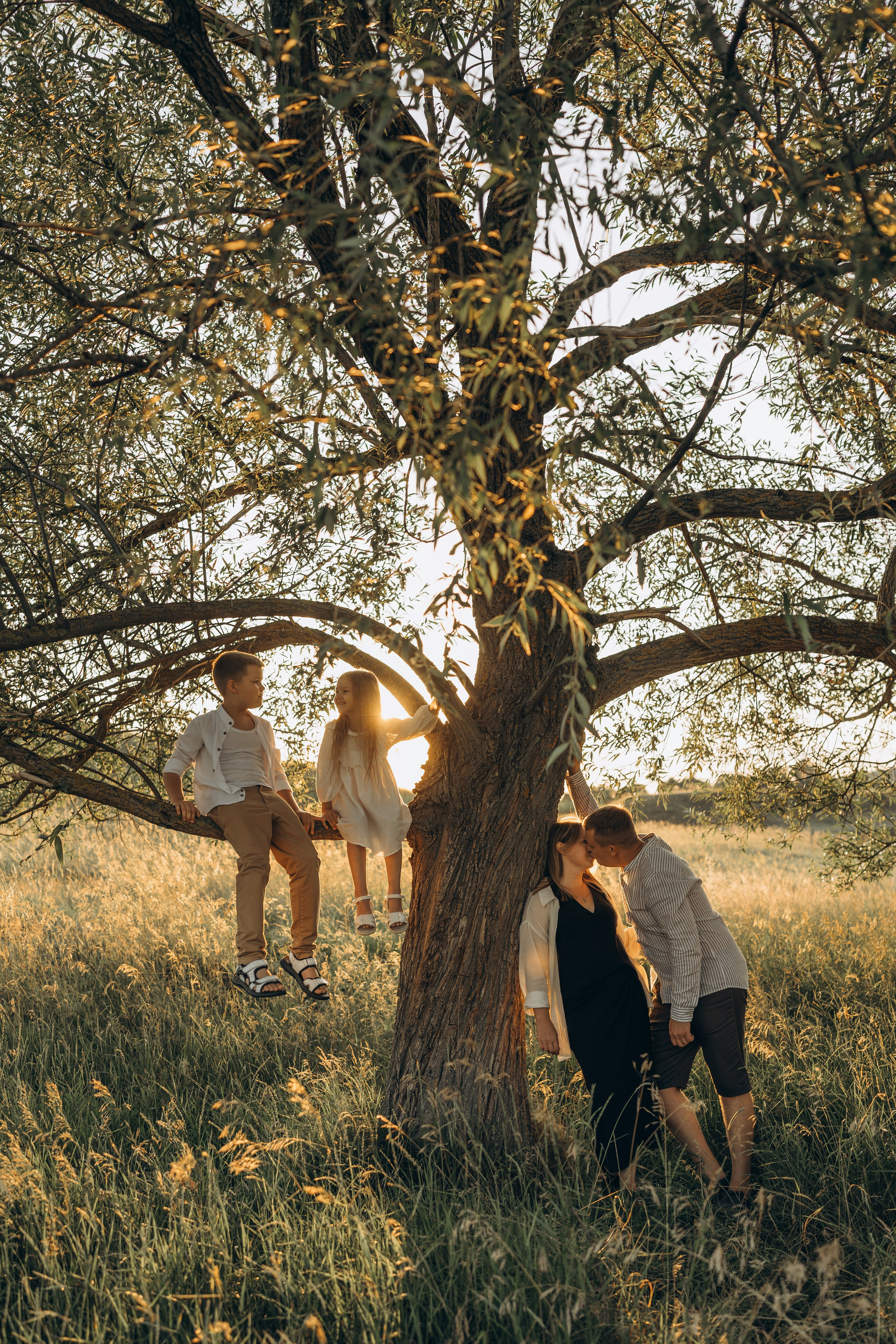 Летний луг, закат. Семейный фотограф Москва. Фотограф беременности и материнства Москва