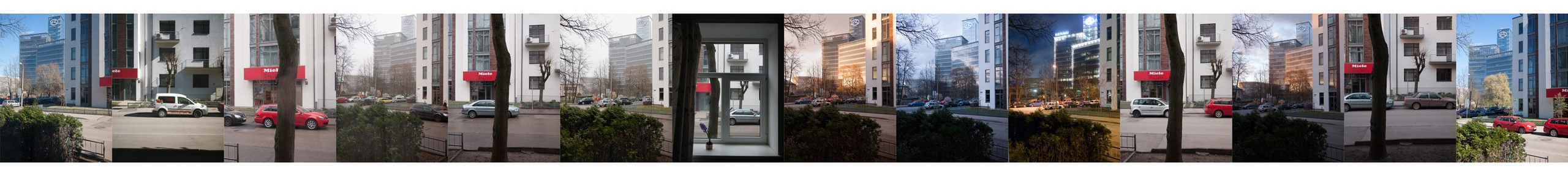 Fourteen window views photographed between April 5th and April 23rd.