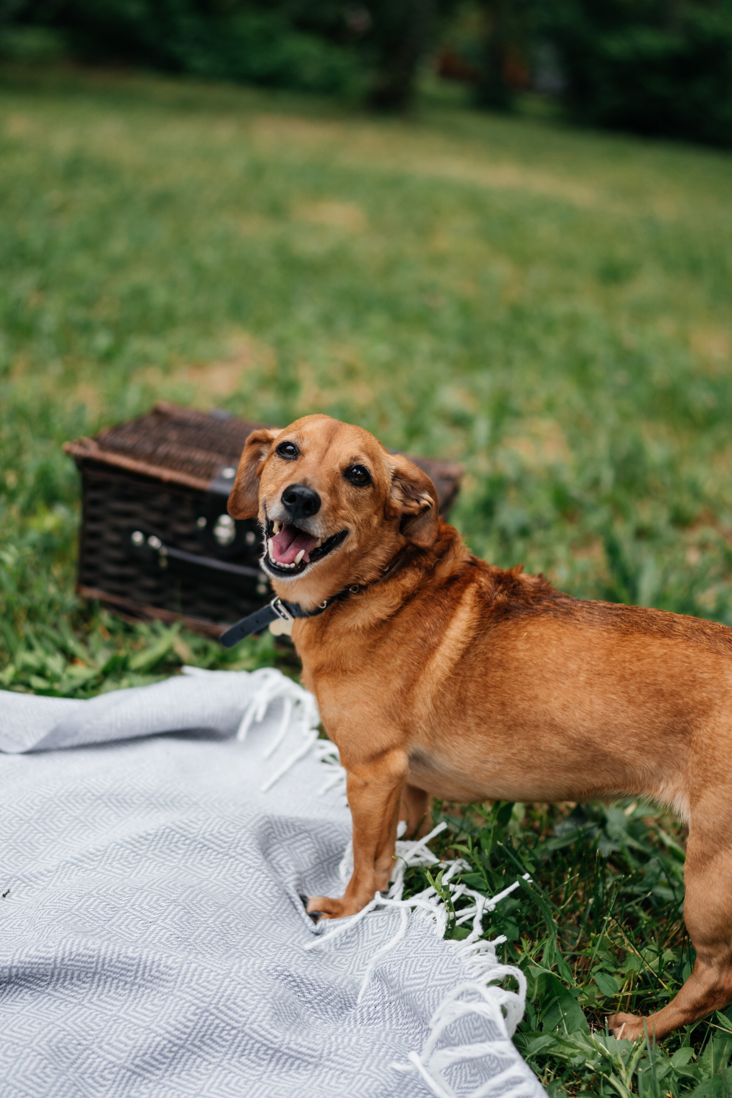 Alina | Andrei | Rika. Https://instagram.com/ana.stasia.n