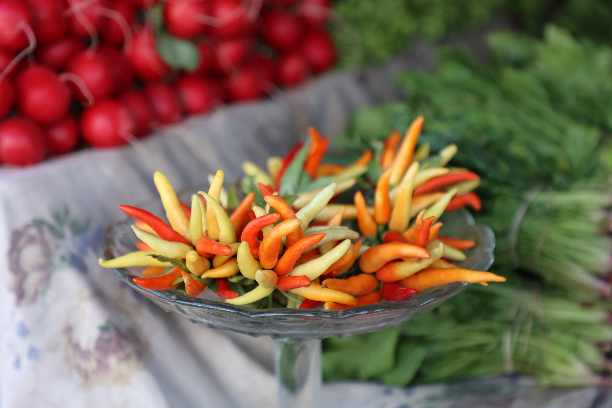 Tashkent, Uzbekistan. Andrey Filippov Photographer