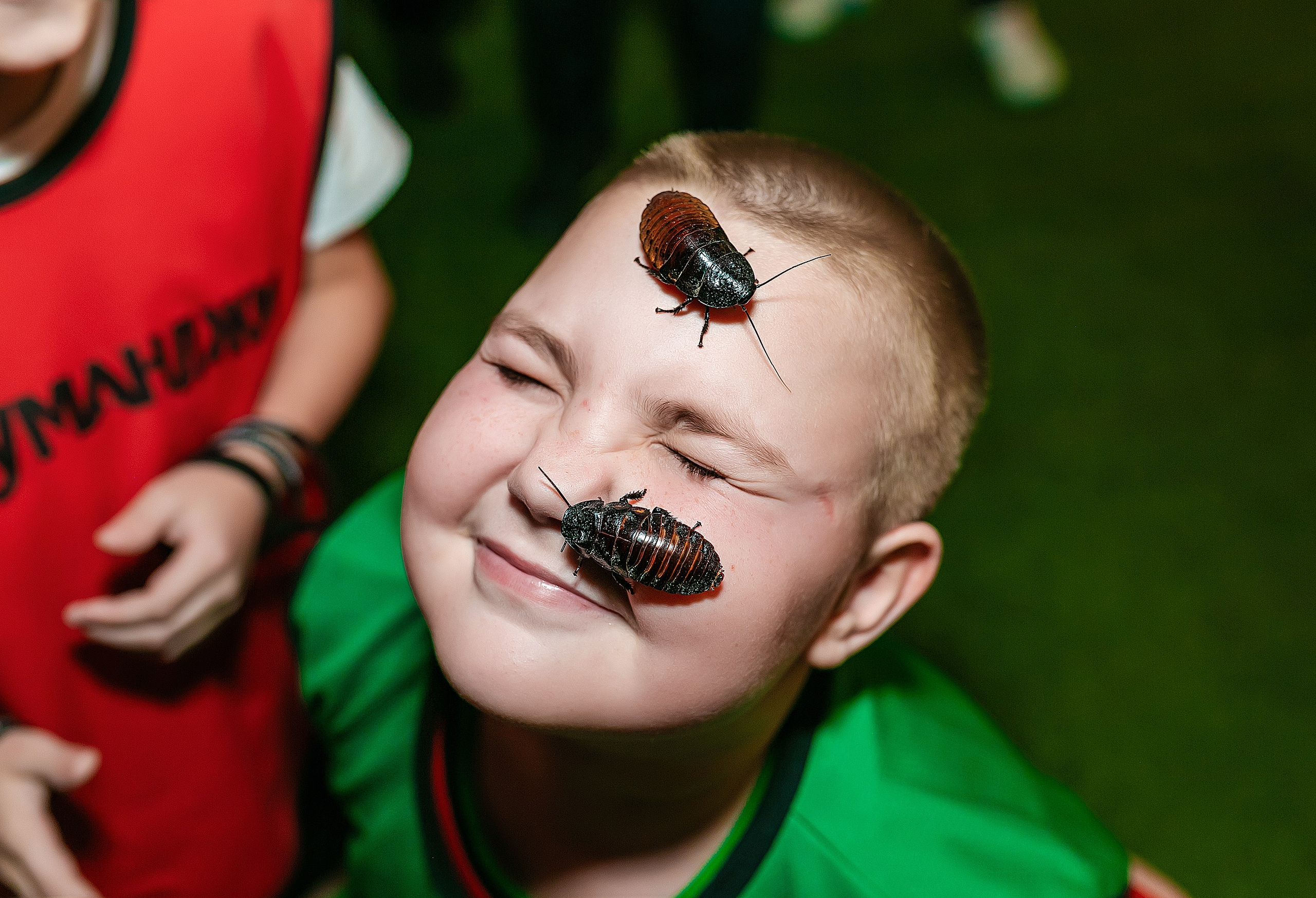 Детские дни рождения. Репортажный и свадебный фотограф в Новосибирске Марина Красавина