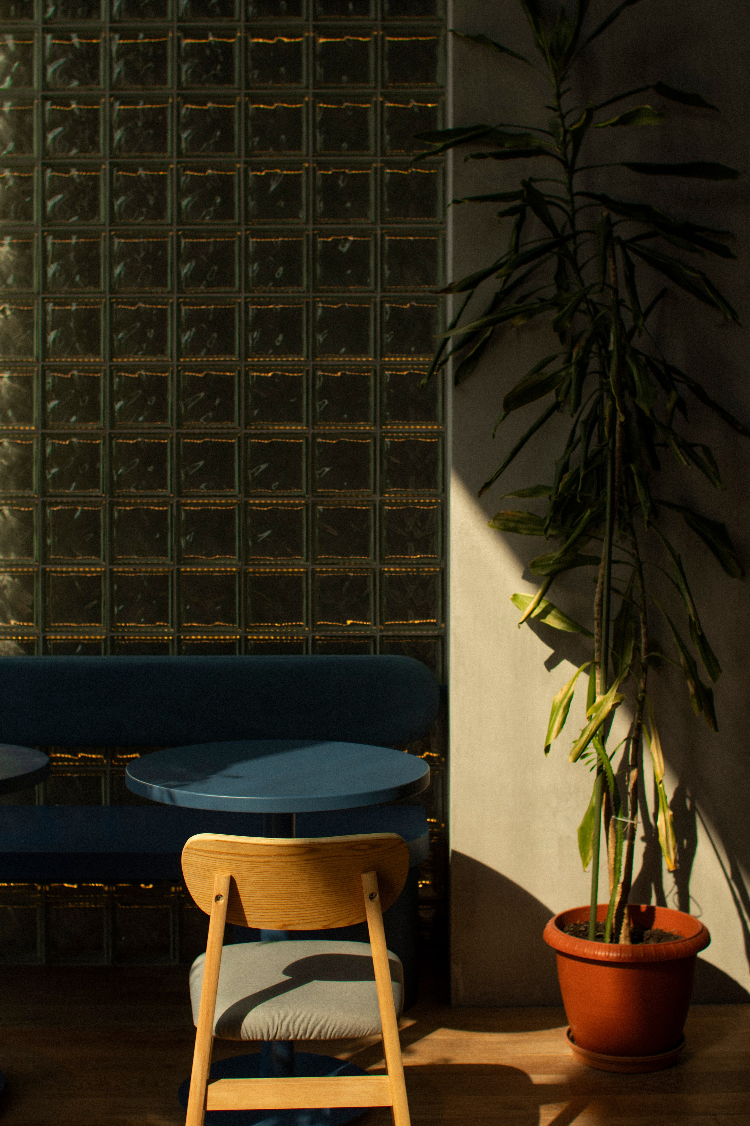 Food фотография. Свадебный фотограф в Москве Александра Соболева |Weddings, people, travel, etc