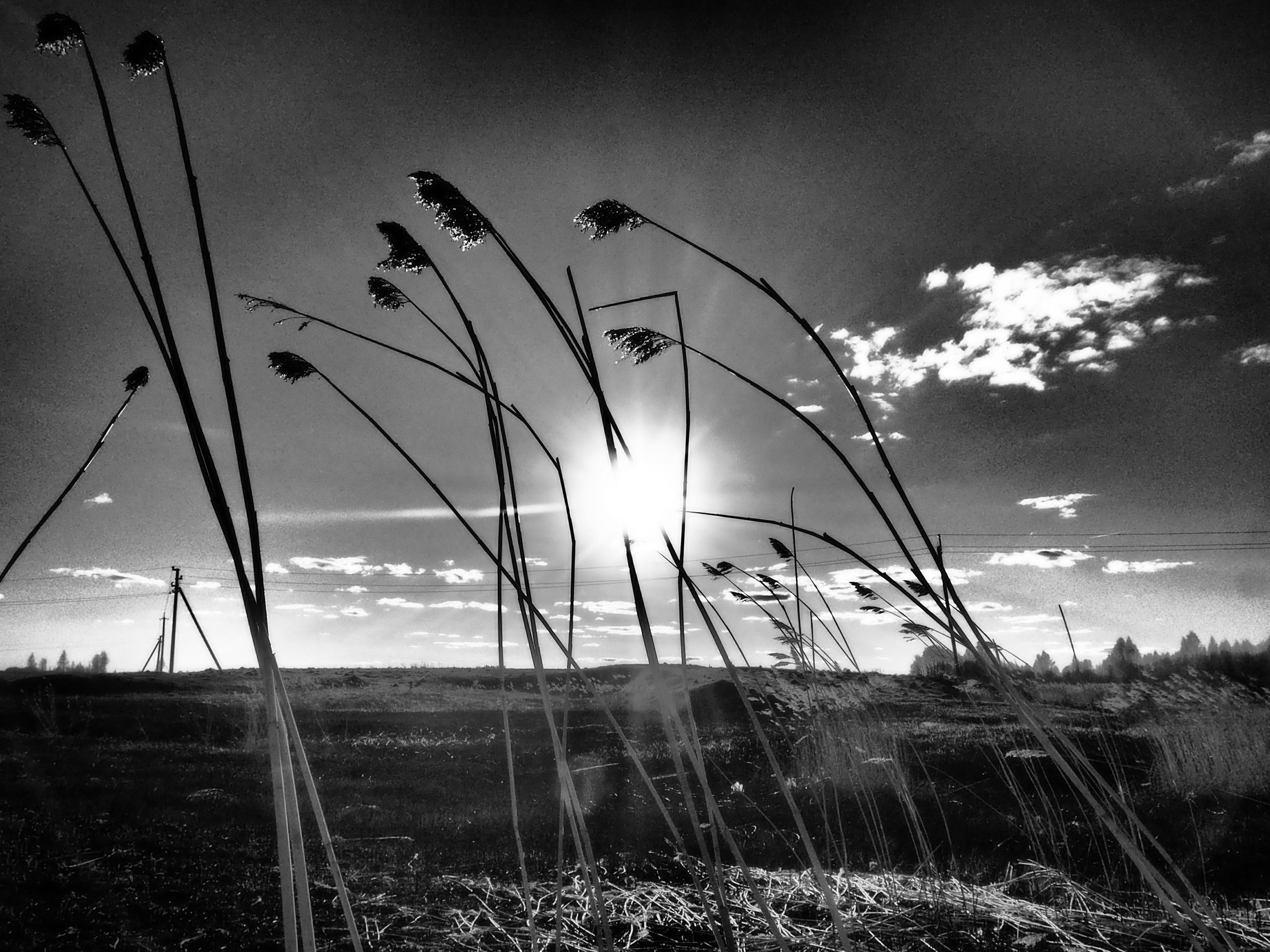 Дорога к Храму. Московский фотограф Дмитрий Потапов
