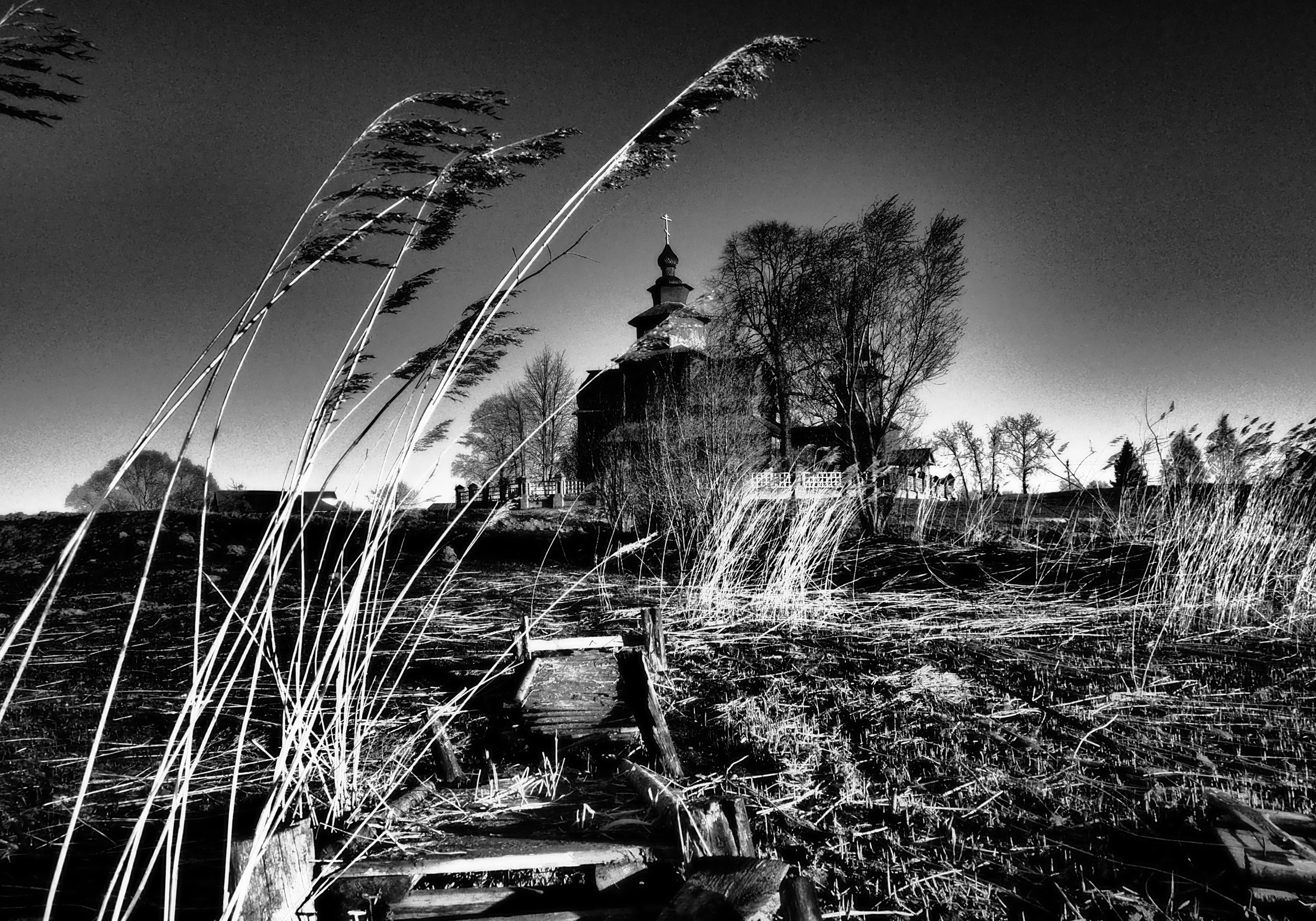 Дорога к Храму. Московский фотограф Дмитрий Потапов