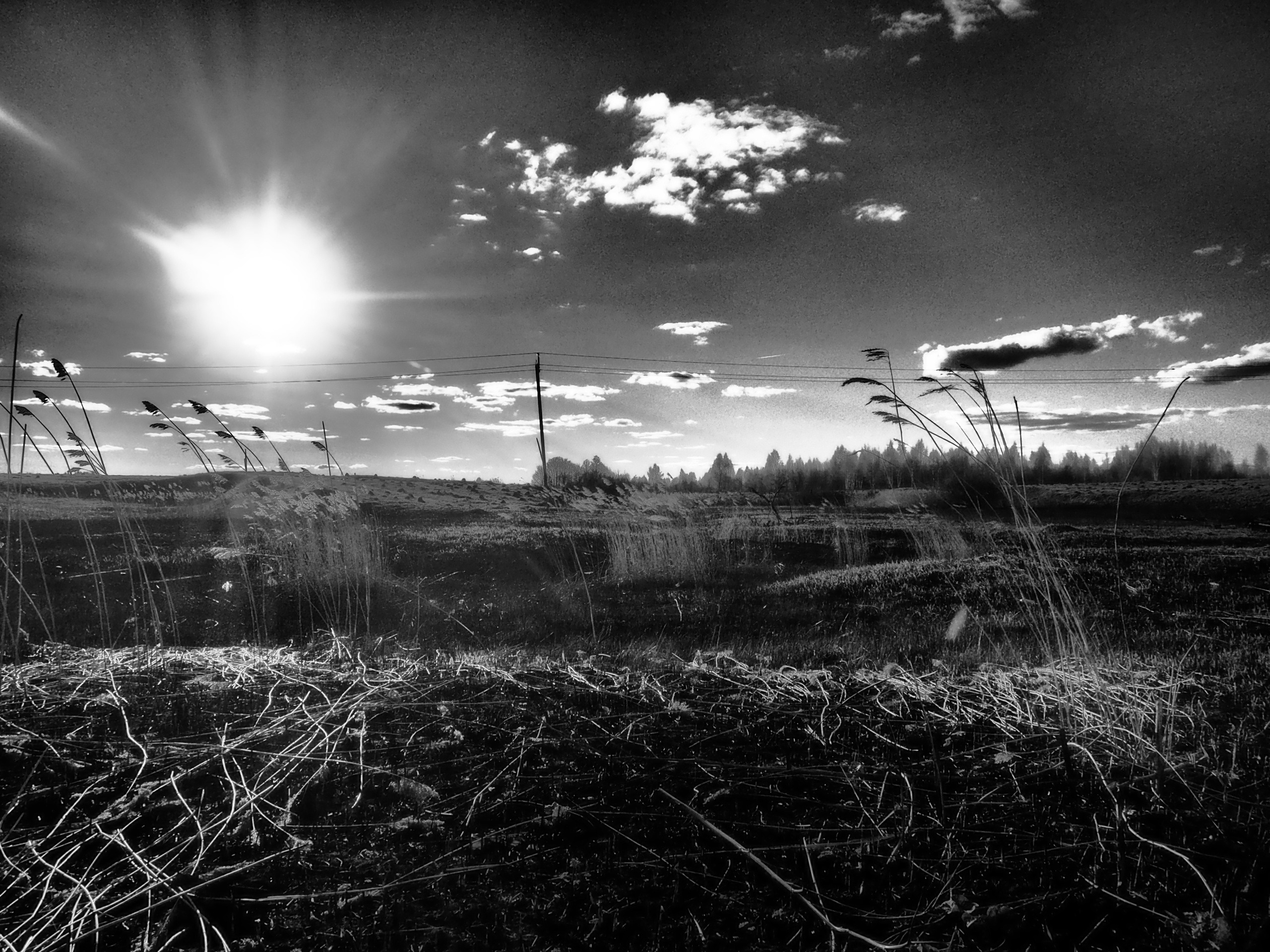 Дорога к Храму. Московский фотограф Дмитрий Потапов