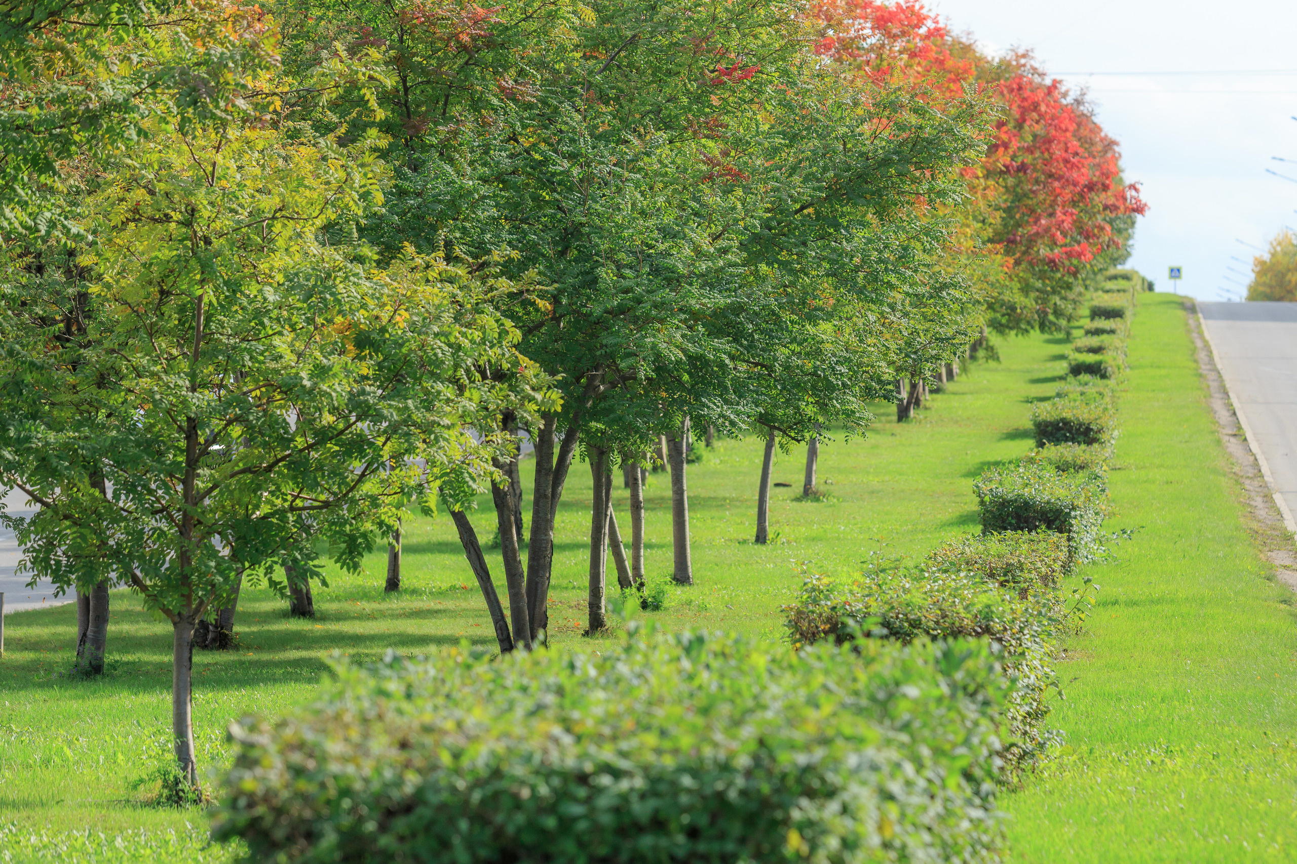 Природа. Семейный и детский фотограф, фотограф новорожденных в Новокузнецке Ири