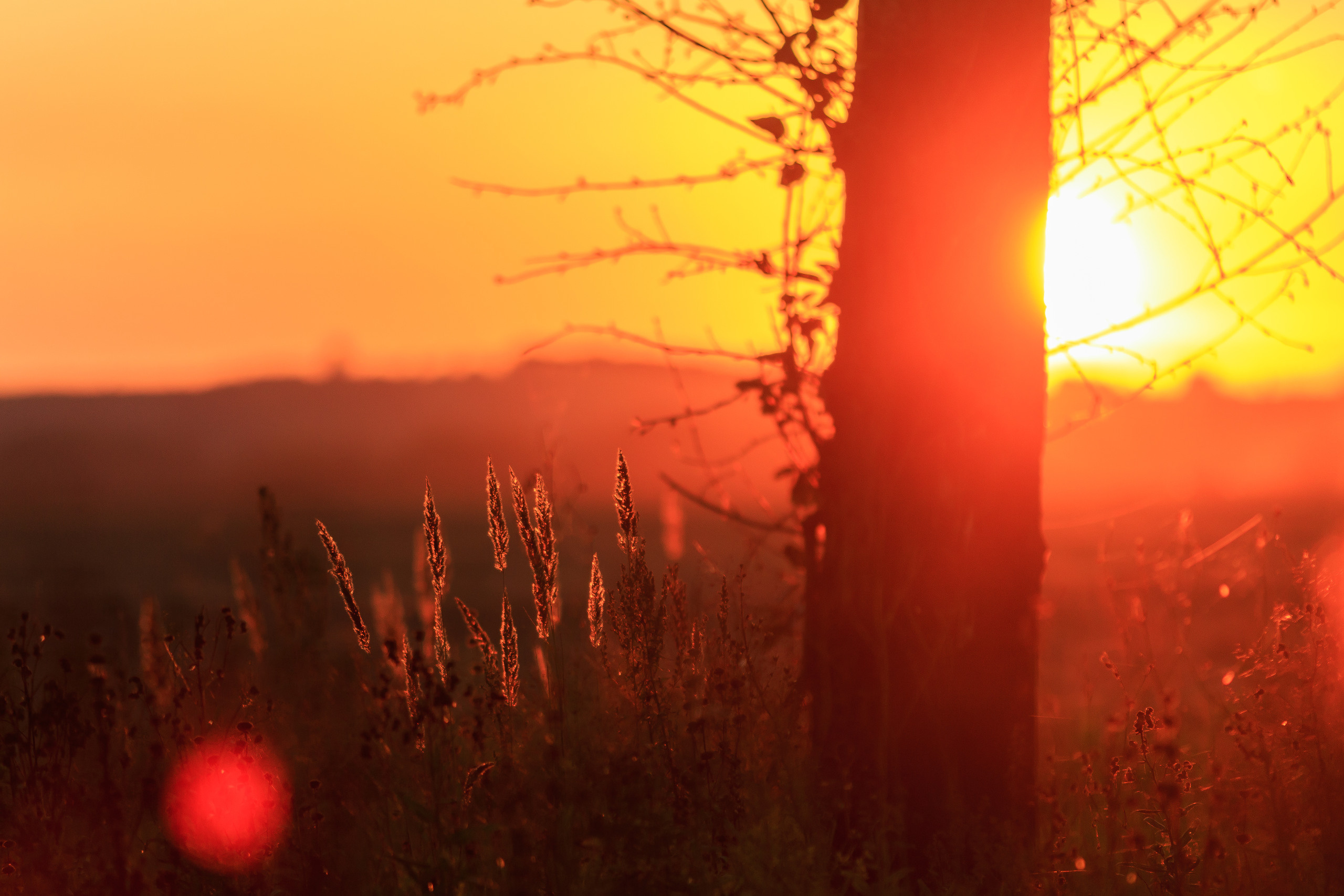 Природа. Семейный и детский фотограф, фотограф новорожденных в Новокузнецке Ири