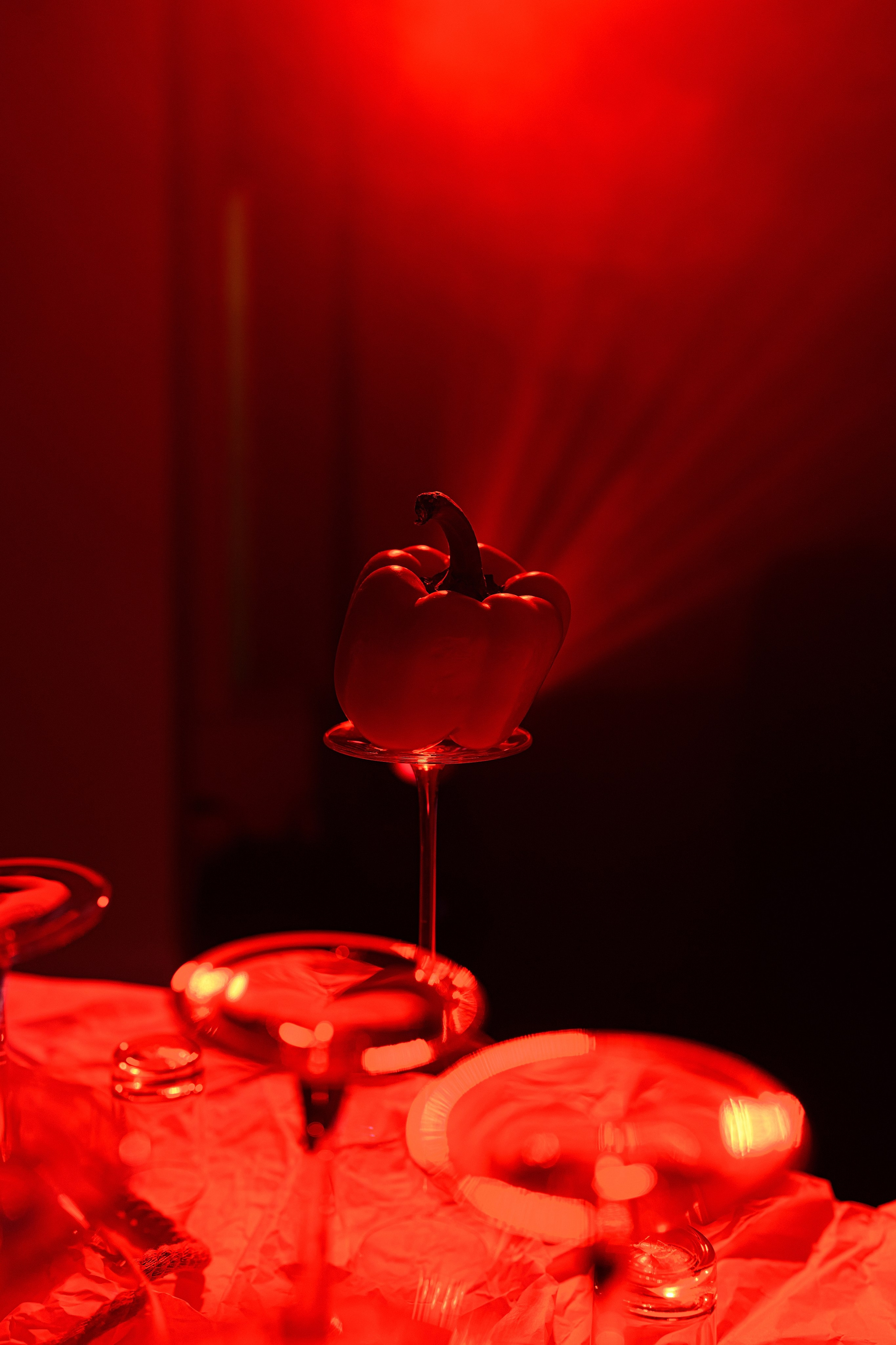 MORE AMORE EVENT HALL — BIRTHDAY`25. Свадебный фотограф Екатеринбург/Челябинск — Любовь Волохова