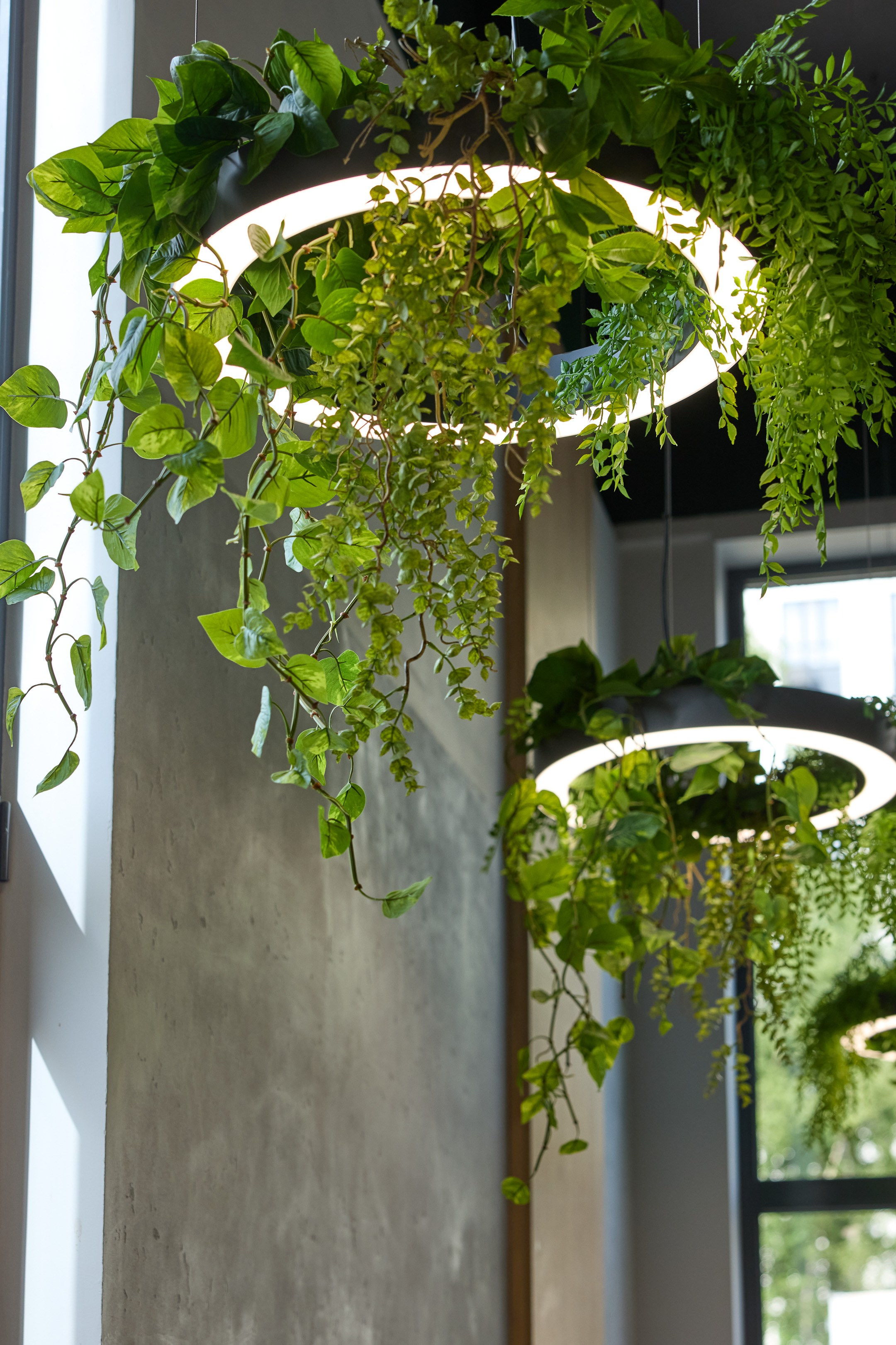 Кофейня GustoLife. Андрей Дунин | Предметная, портретная и интерьерная съёмка