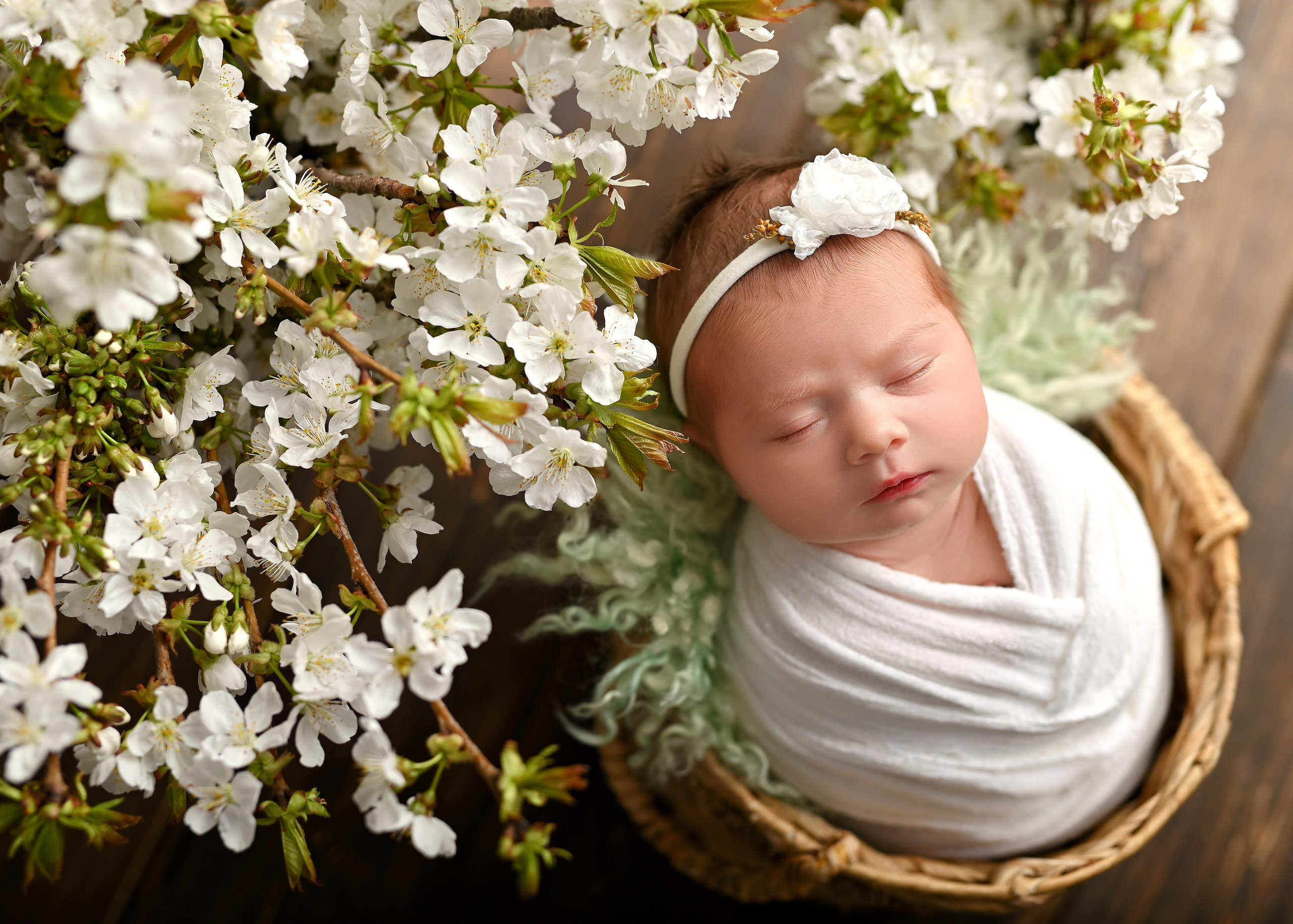 Новорождённые. Фотограф новорождённых малышей в Краснодаре Татьяна Нагорная