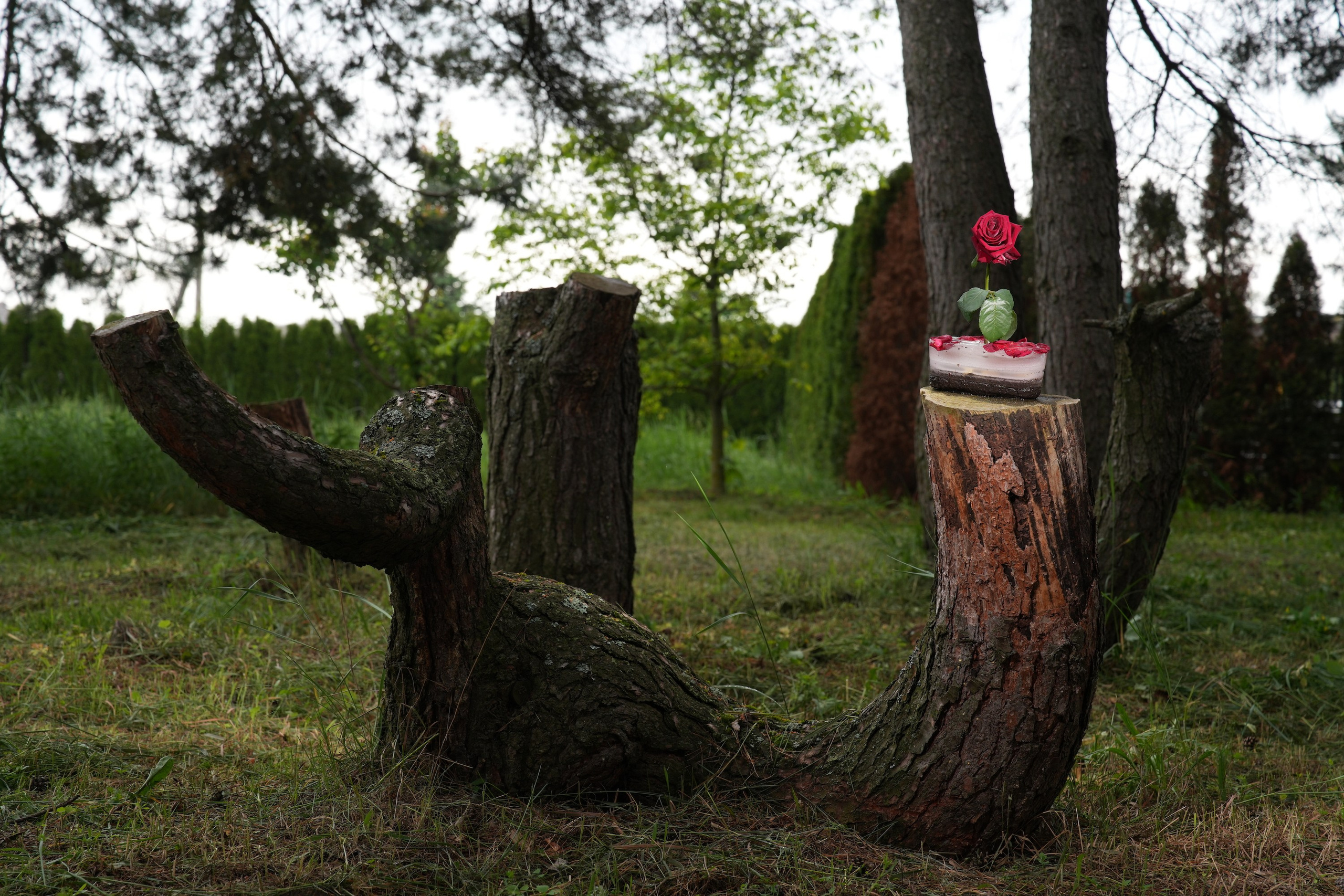 Фотограф Максим Бут, изобразительное искусство. Принт в продаже. Fine Art. 