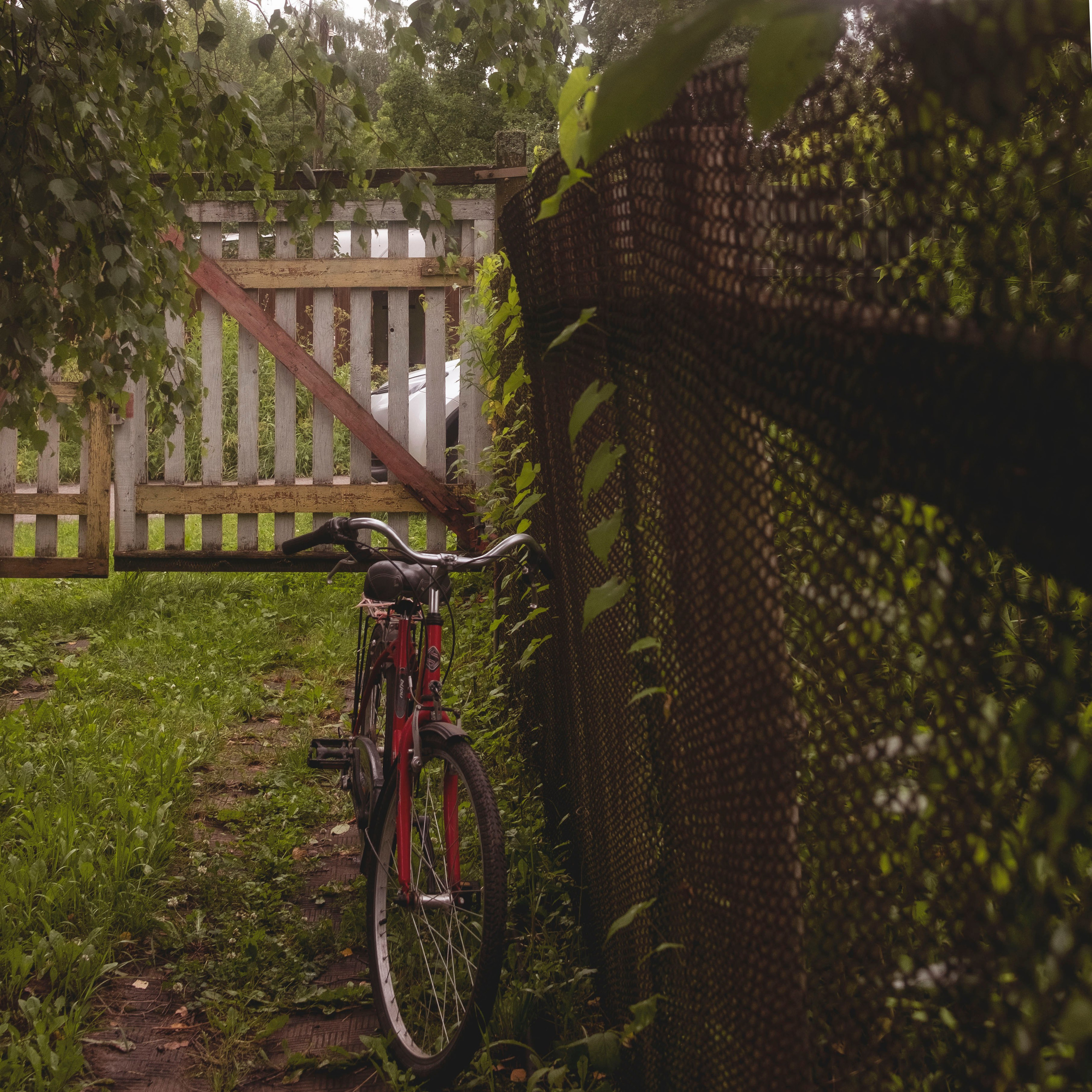 Дача, 2020. Портретный фотограф в Москве Евгения Яковенко