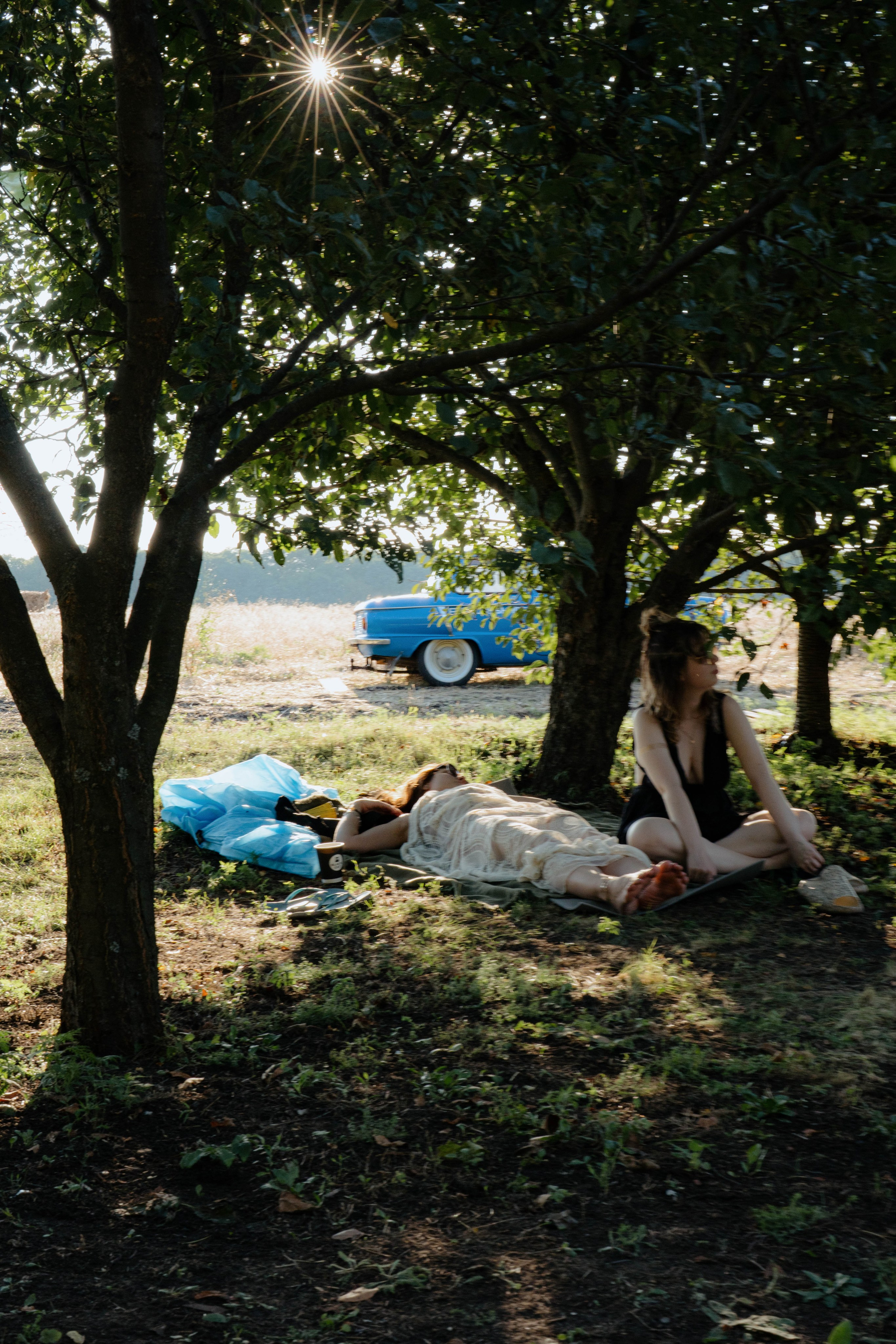 ASS FAMILY | СОН В ДЕРЕВНЕ | АВИАРЕЖИМ 8.0