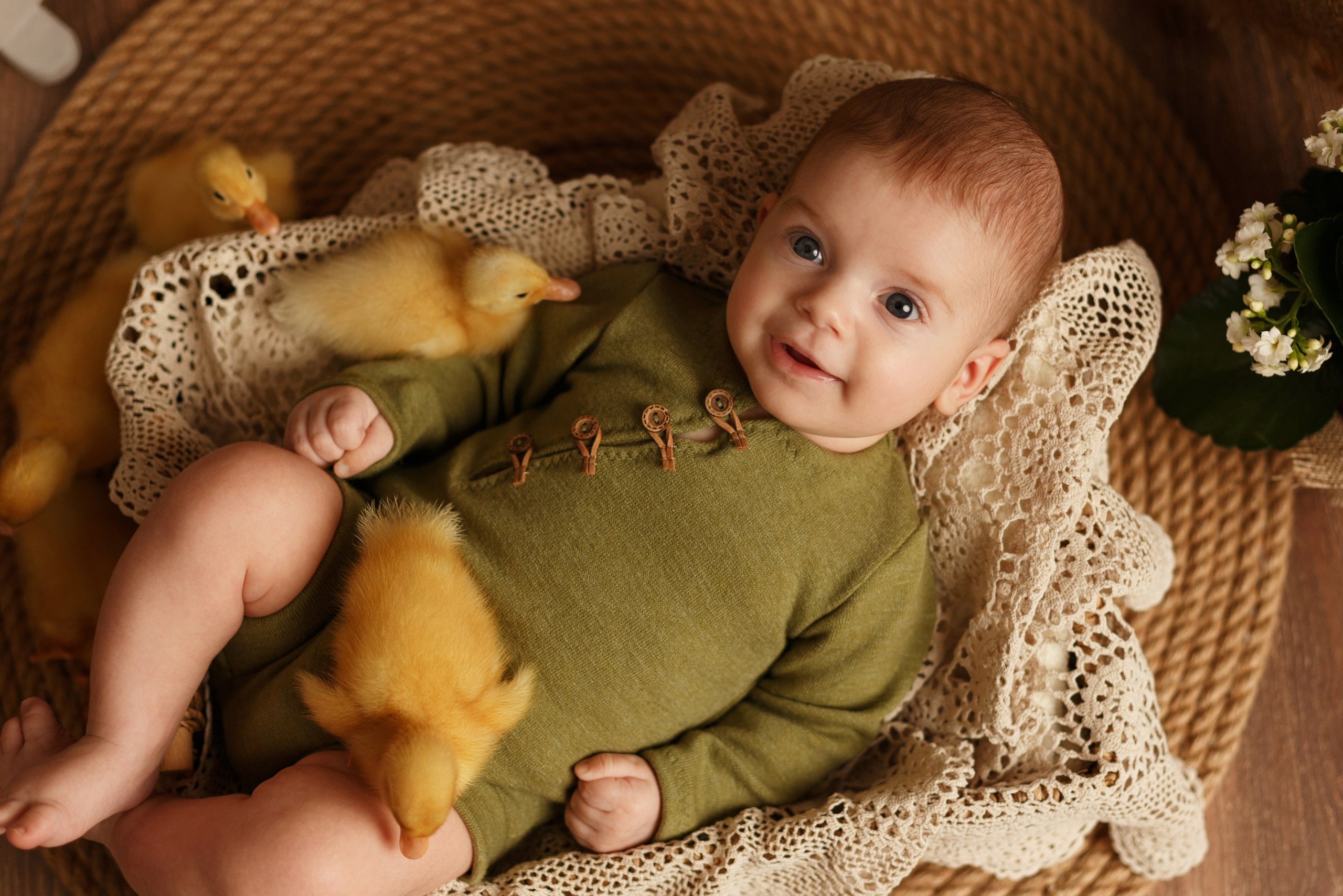 Фотопроекты. Фотограф новорождённых семейный фотограф Томск Елена Каплина