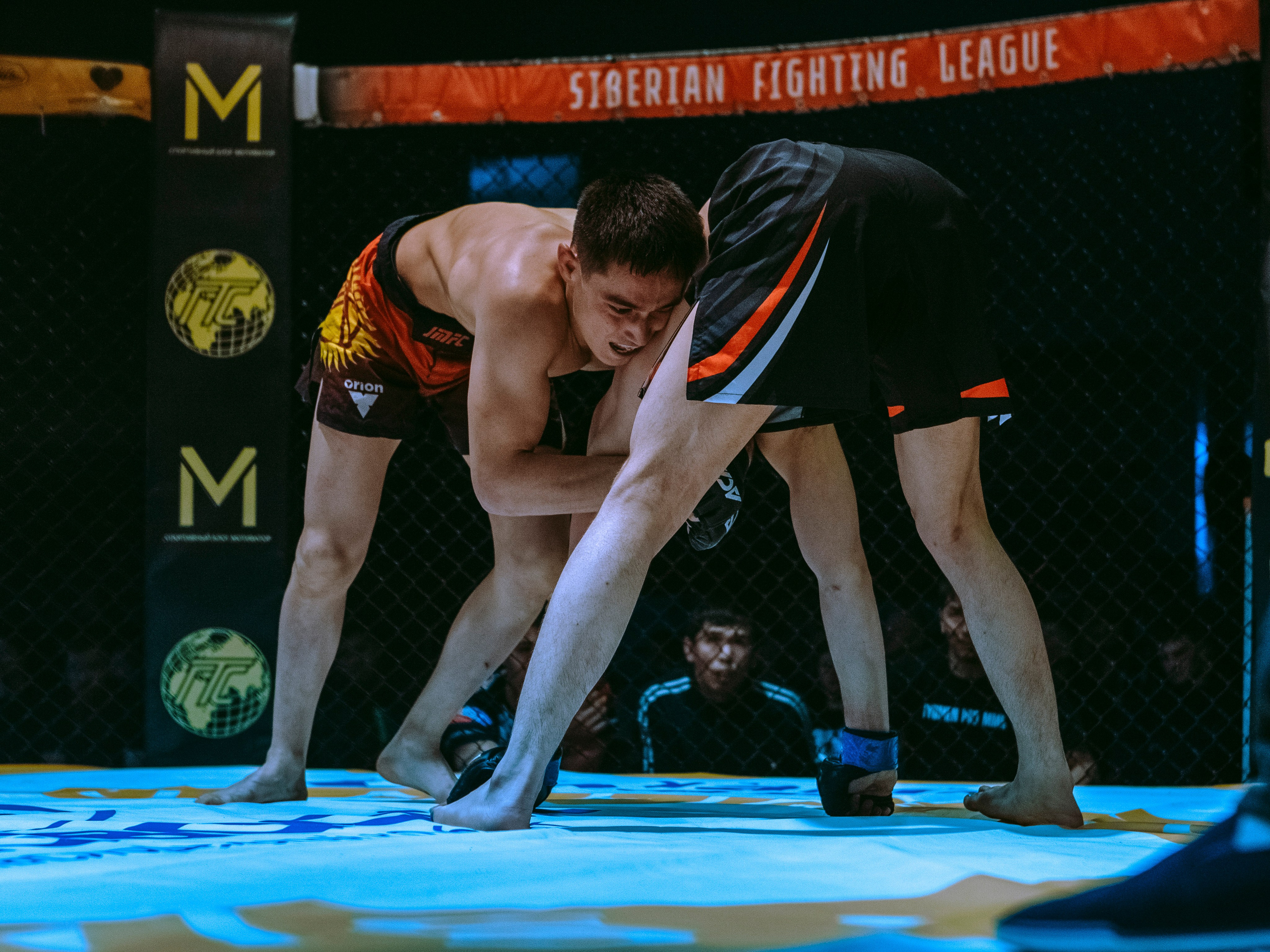 SFL 17 | Siberian Fighting League. Портретный фотограф в Москве Дарья Цезария