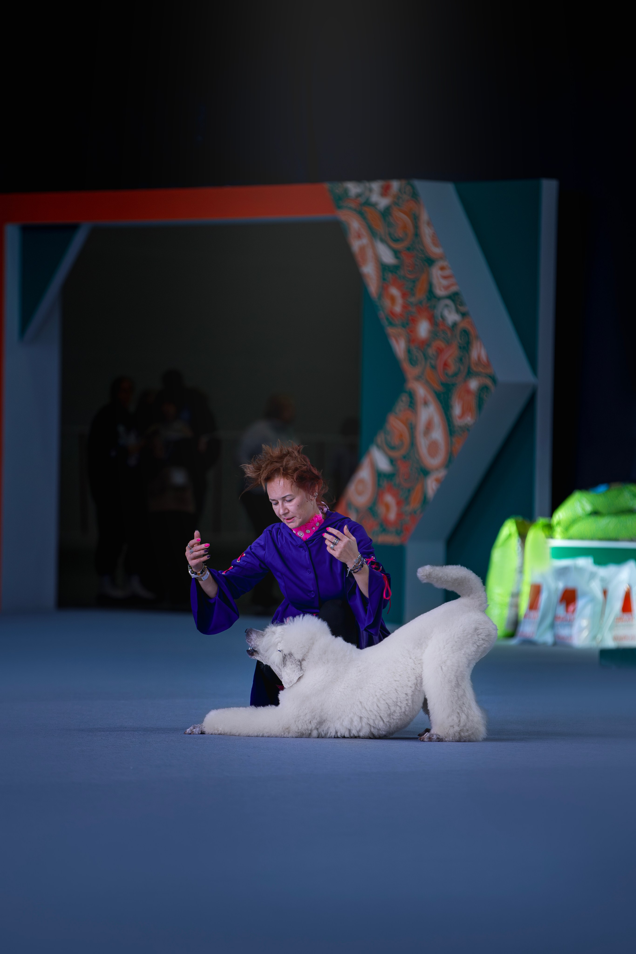 Выставки. Фотограф анималист в Москве Майорова Евгения