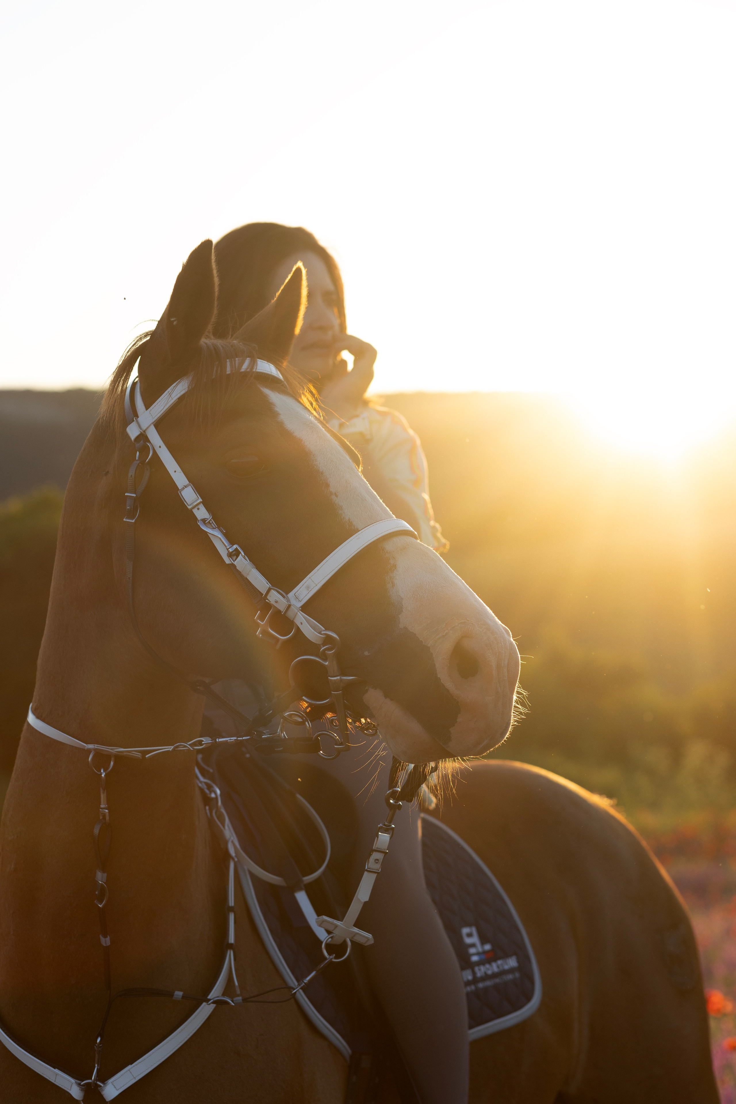Фотосессии с лошадьми. Ваш фотограф в Крыму | Соболевская Анастасия