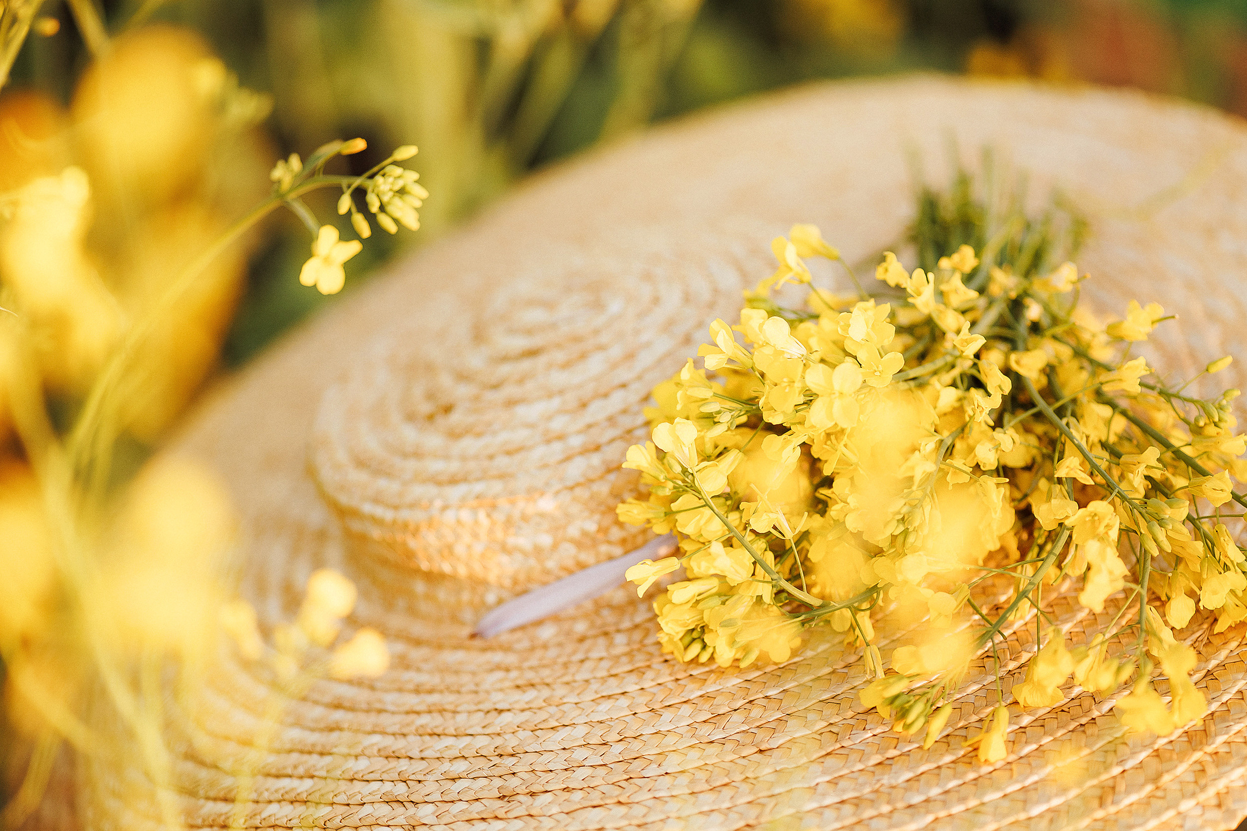 ♥. Семейный, свадебный и персональный фотограф в Вологде Виктория Долгопо