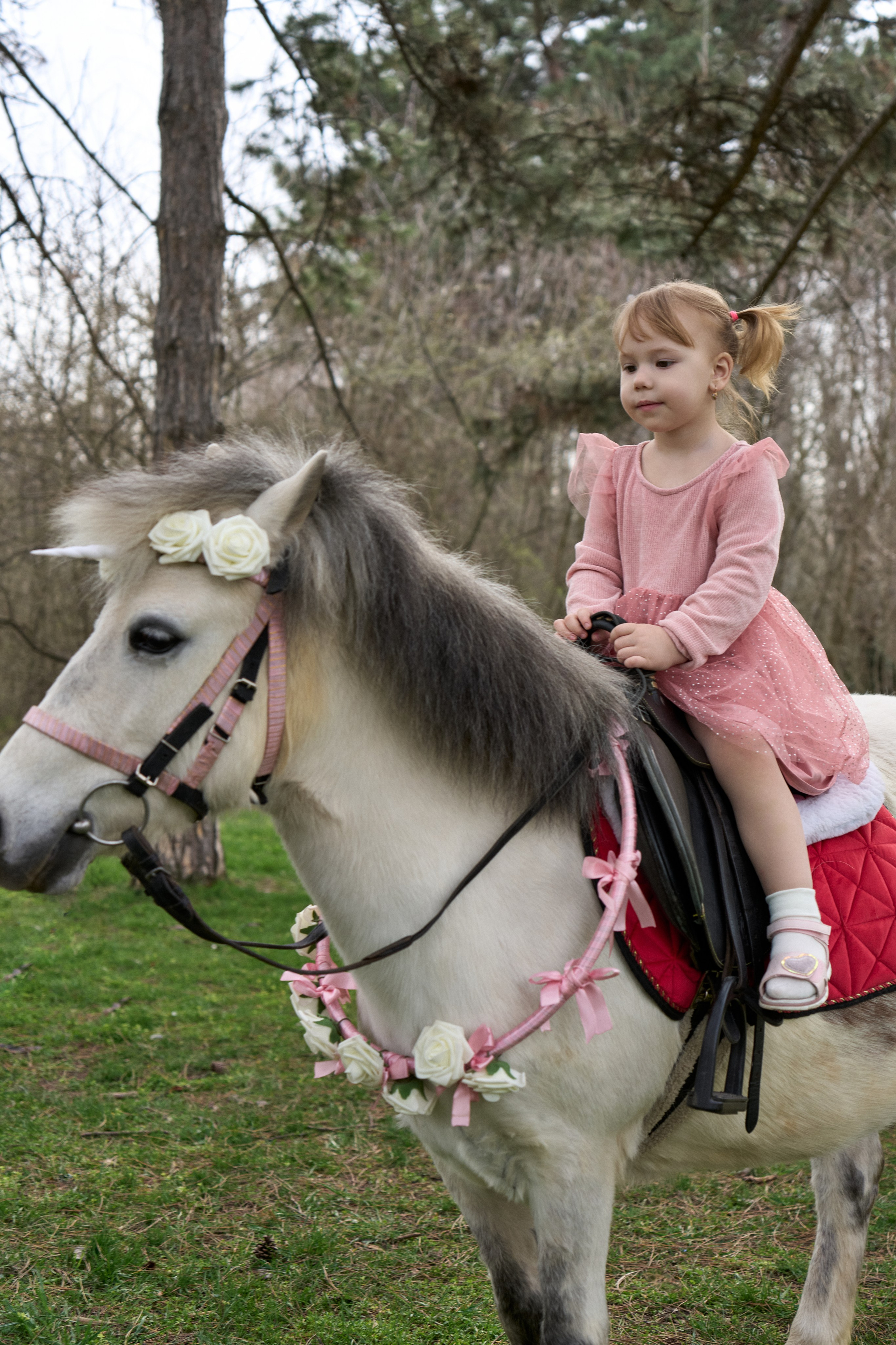 Злата. Фотограф в Краснодаре Татьяна Вижевитова