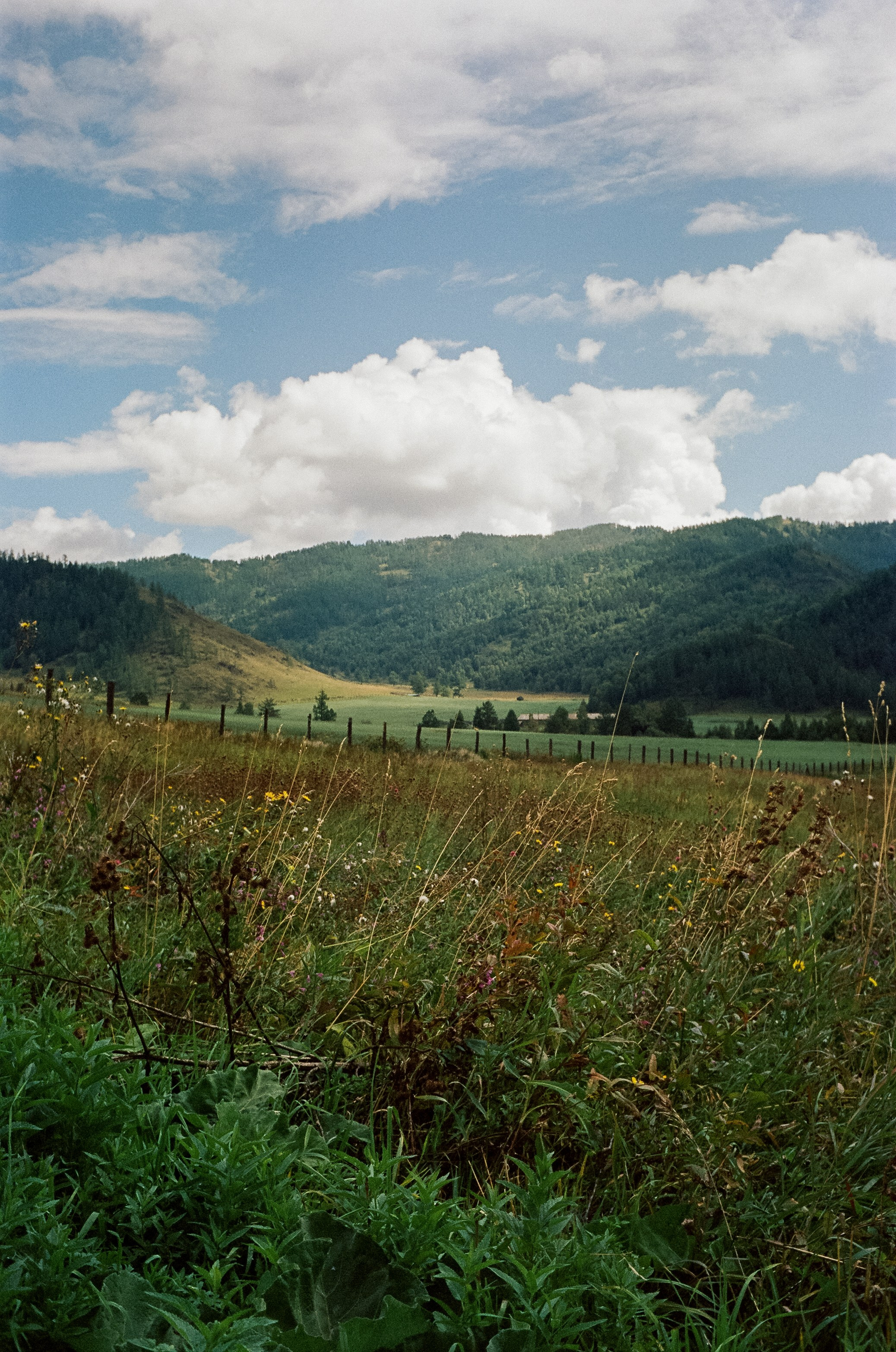 Трасса на Семинский перевал / 30 августа 2024 года