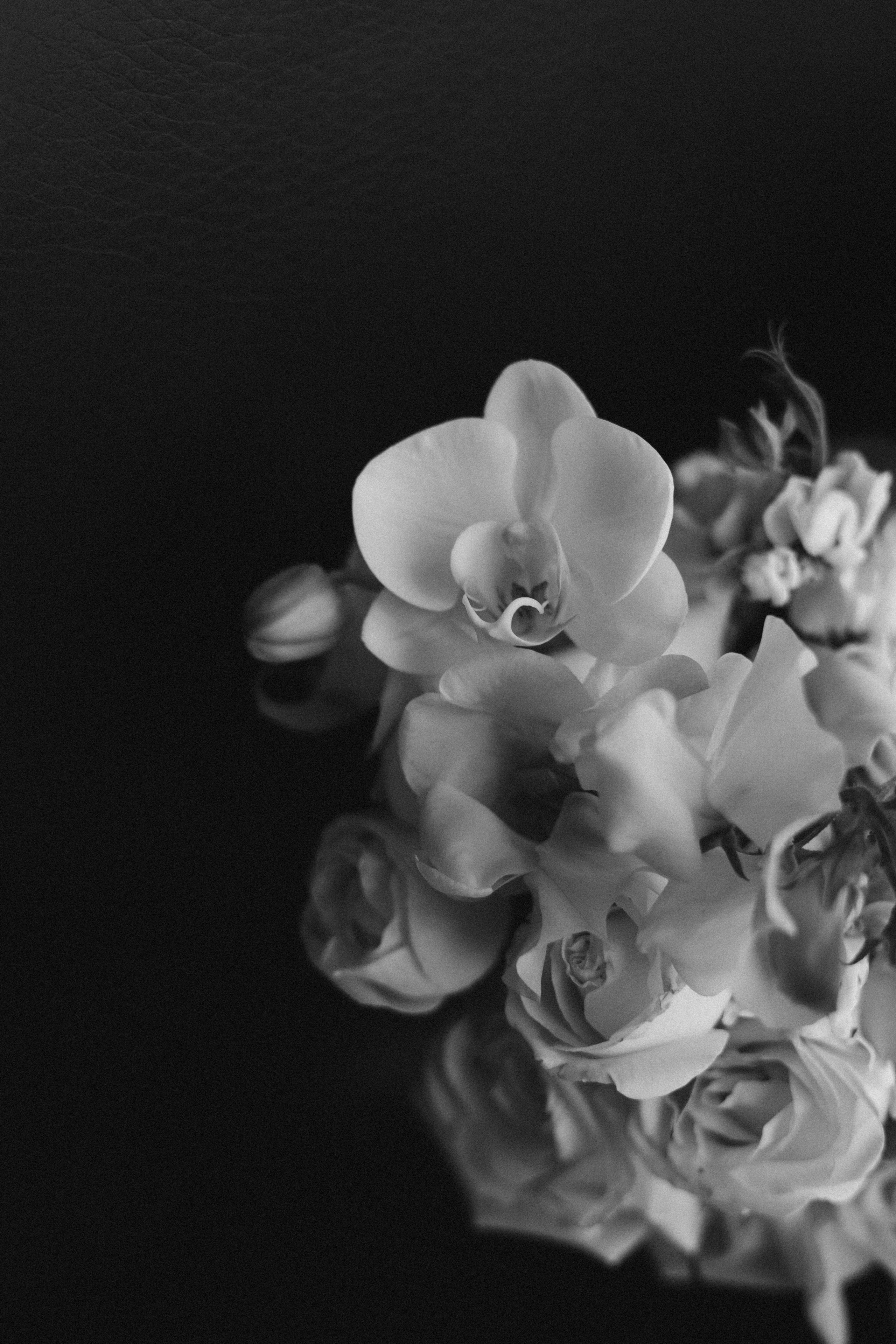 Вика и Ваня. Эстетичный свадебный репортаж в любом городе страны