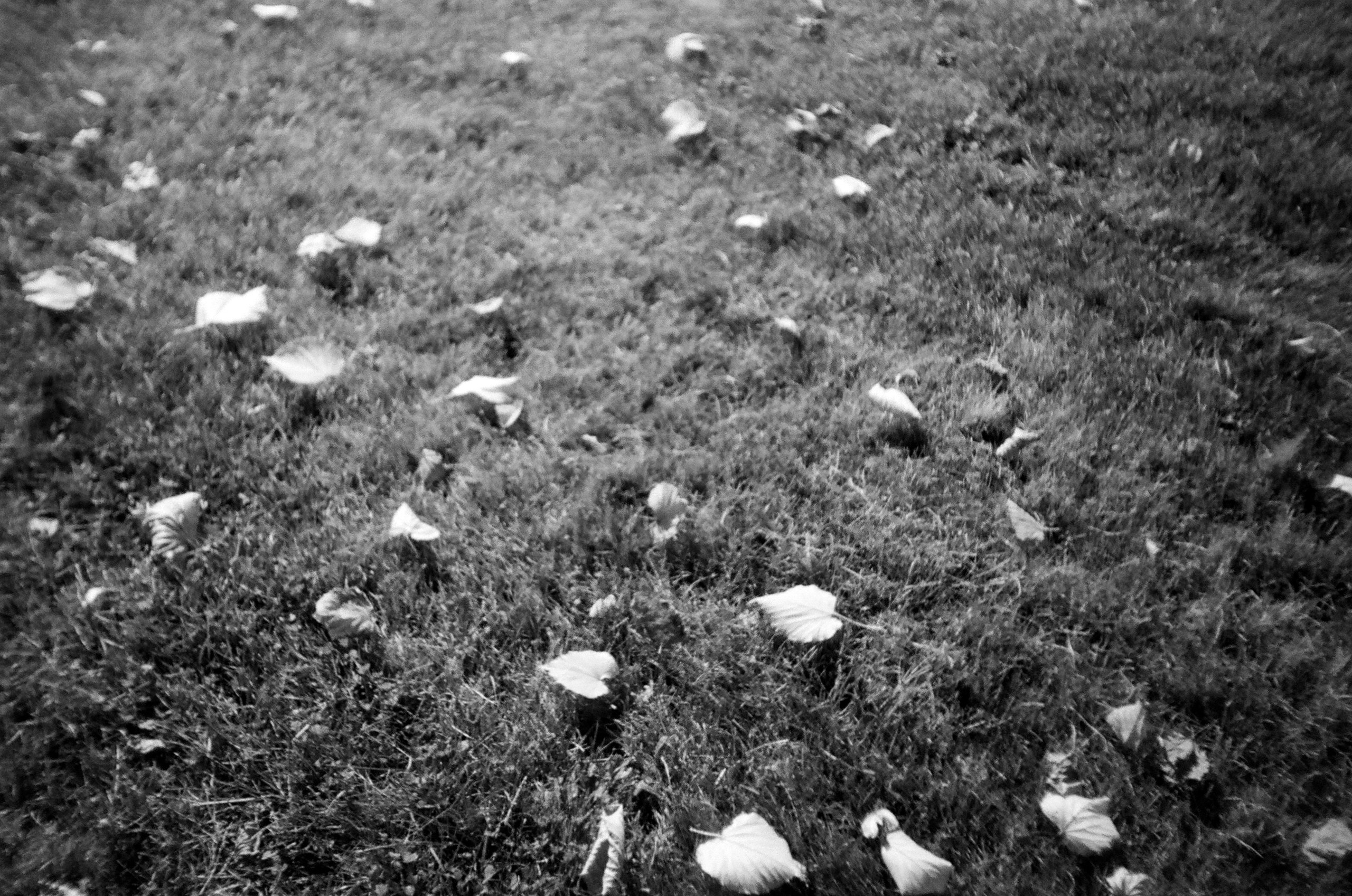 VISION. Anastasia Sukhoparova artist photographer