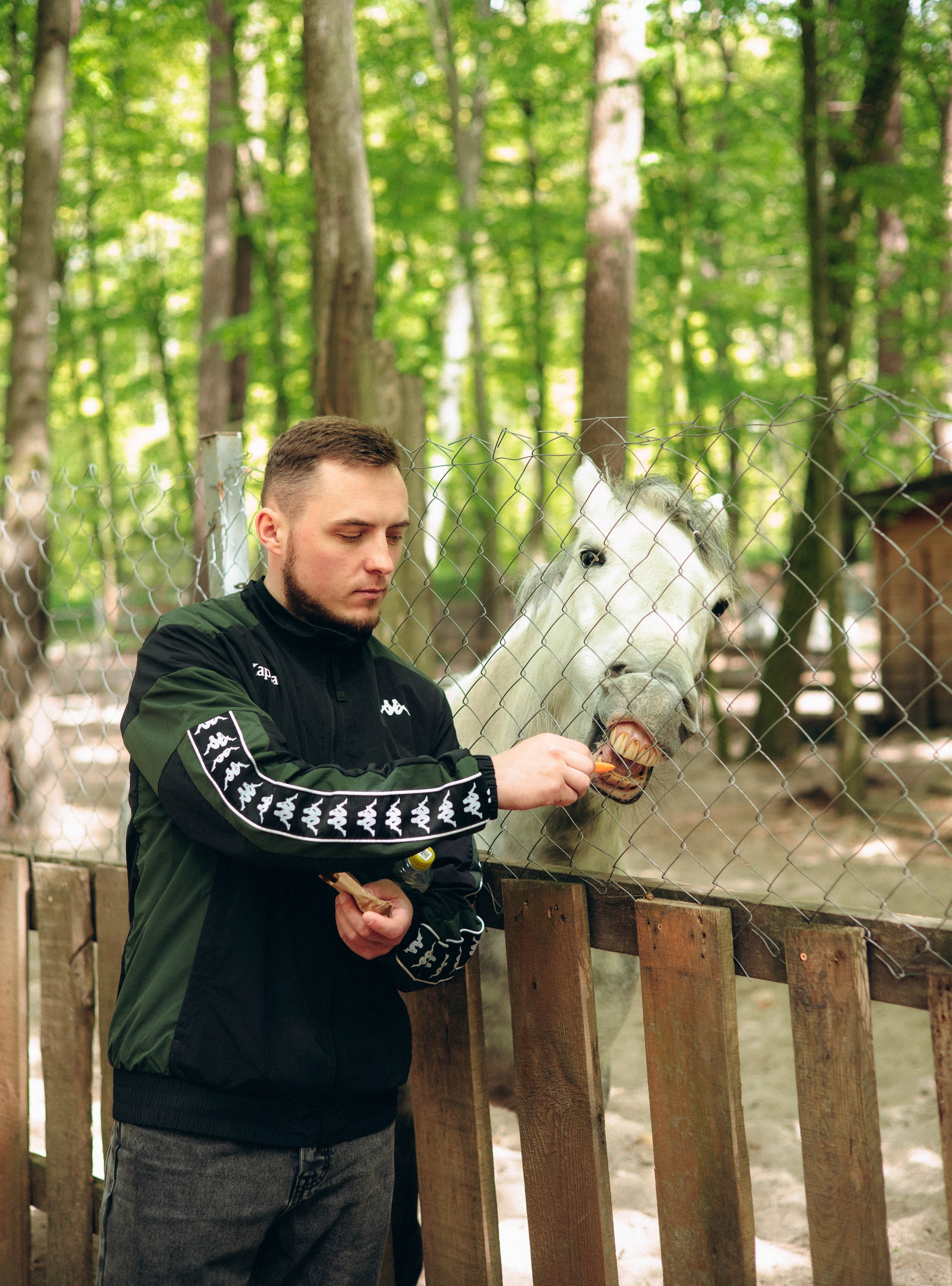 По Калининградской области. Фотограф Кострома | Калининград