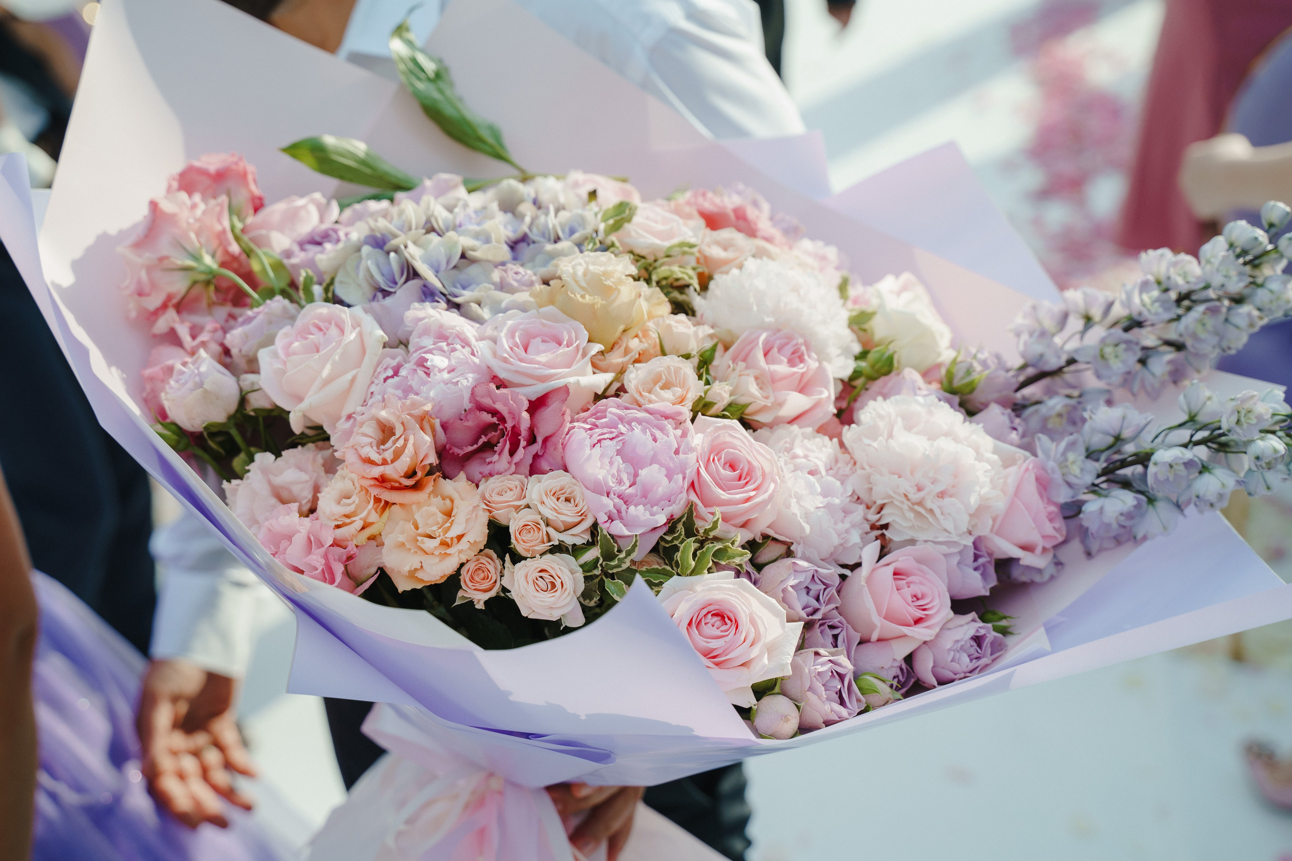 Алиса и Андрей. Главная