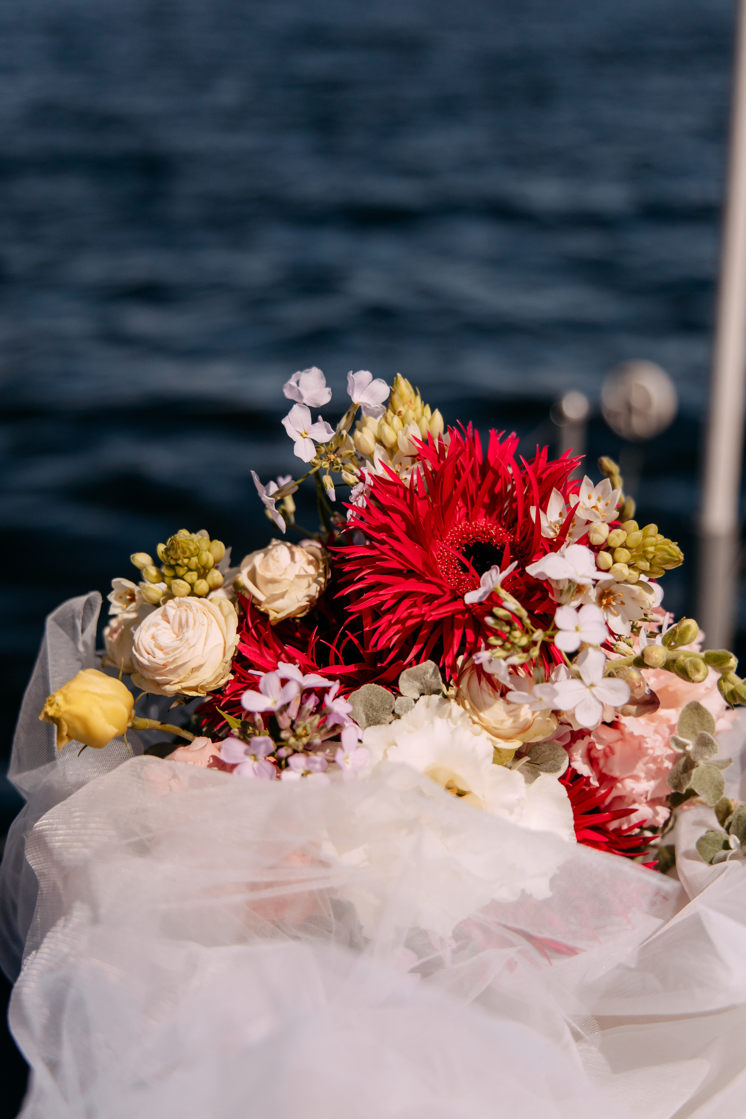 Анастасия и Антон. Фото и видео съемка. Андрей Ионов