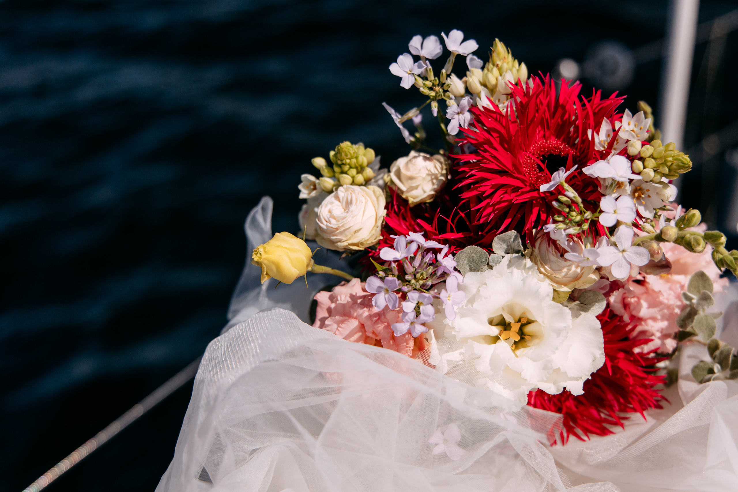 Анастасия и Антон. Фото и видео съемка. Андрей Ионов