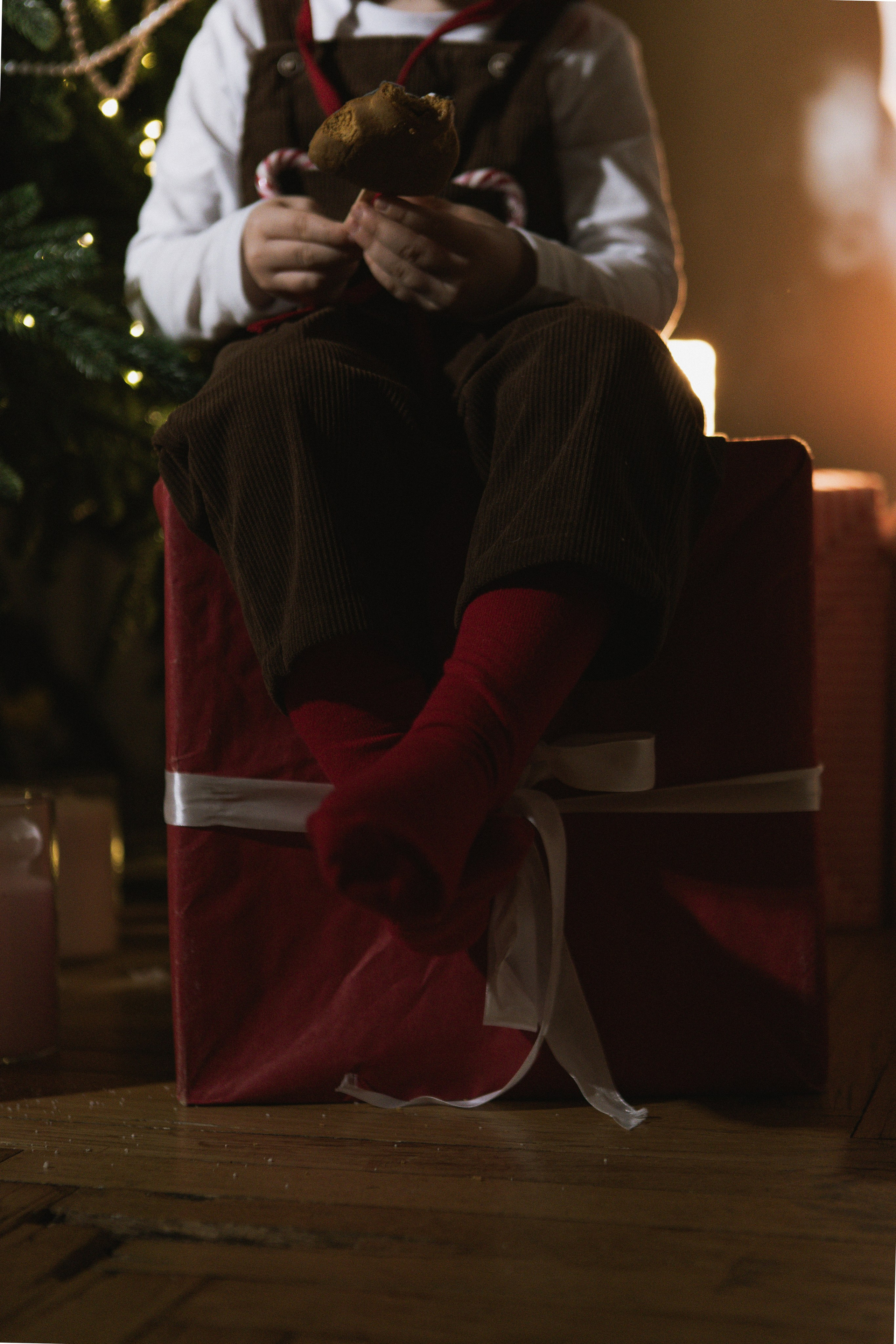 Рождественский гном. Фотограф в Москве Таша Логинова