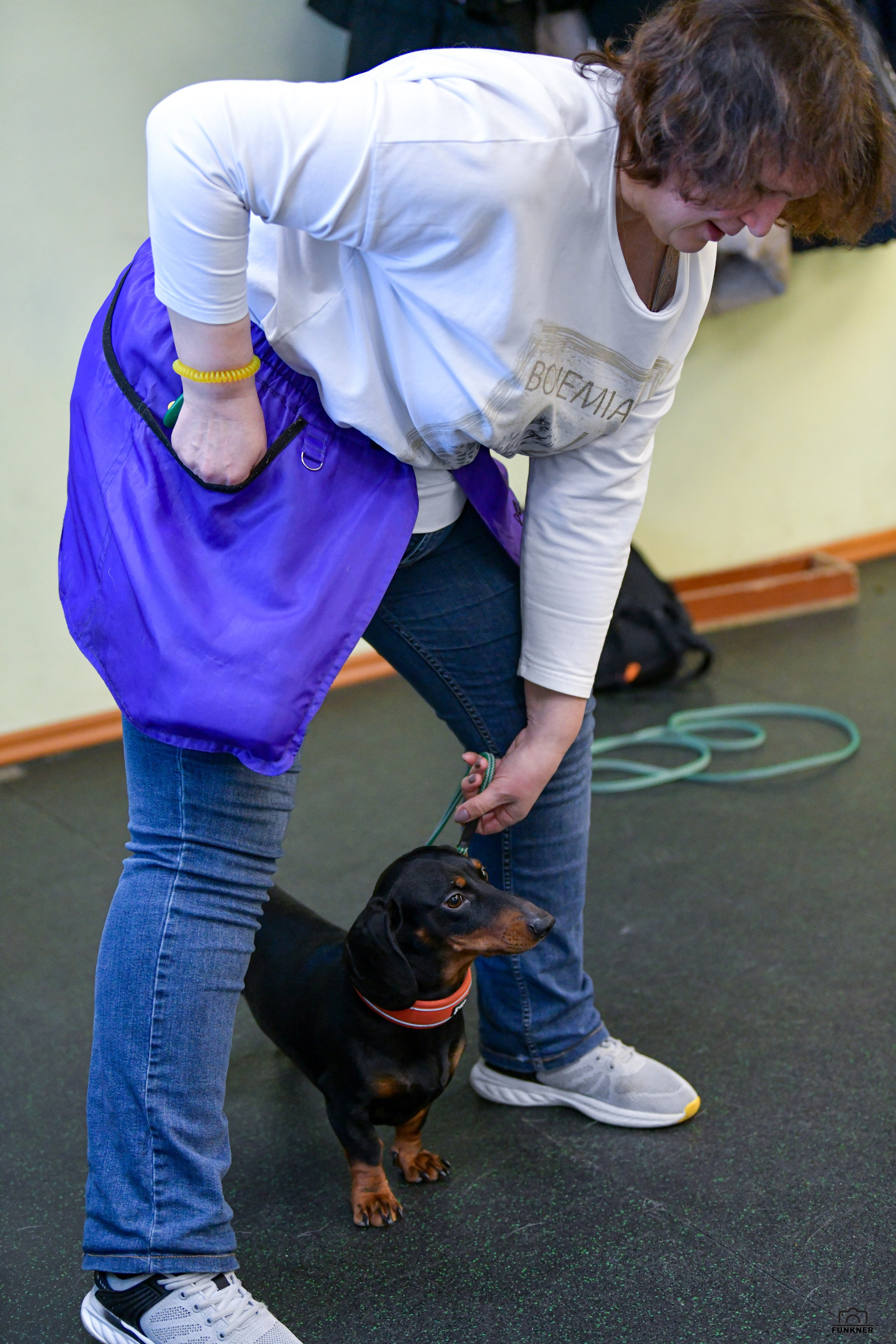 Кинологический клуб «Бодрый хвост». Свой взгляд через объектив