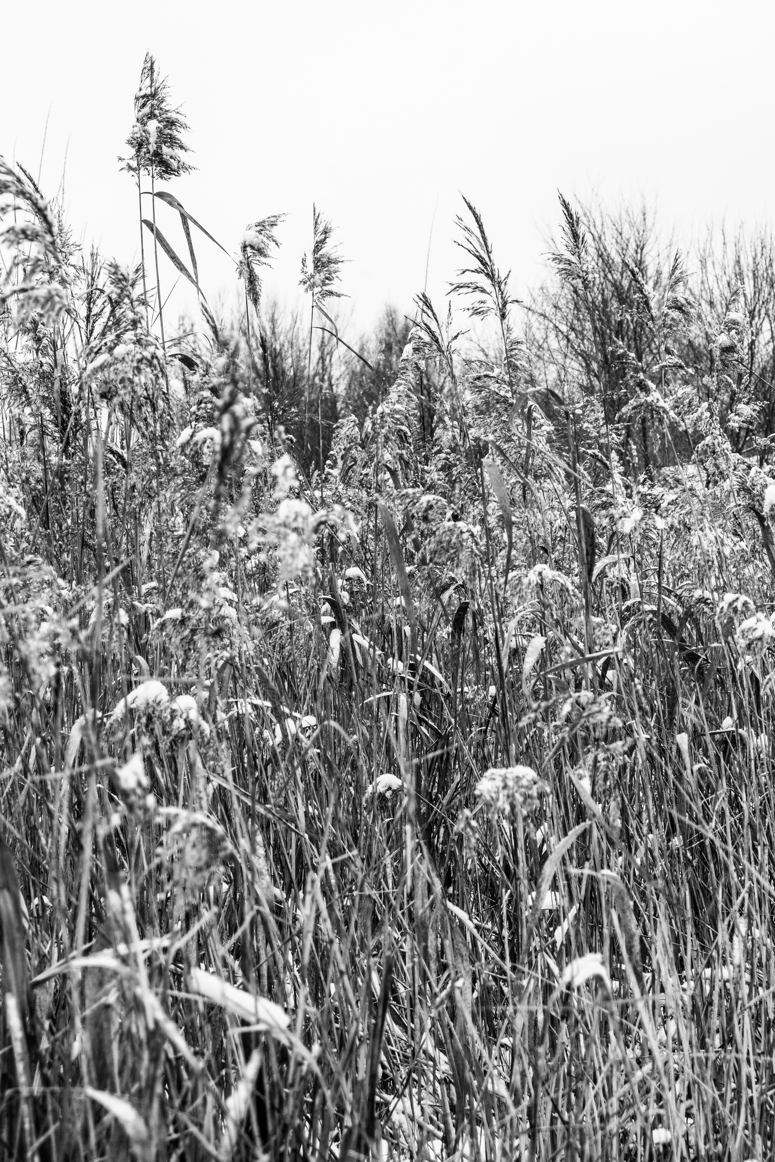 Декабрь. Портретный и архитектурный фотограф в Москве и Санкт-Петербурге