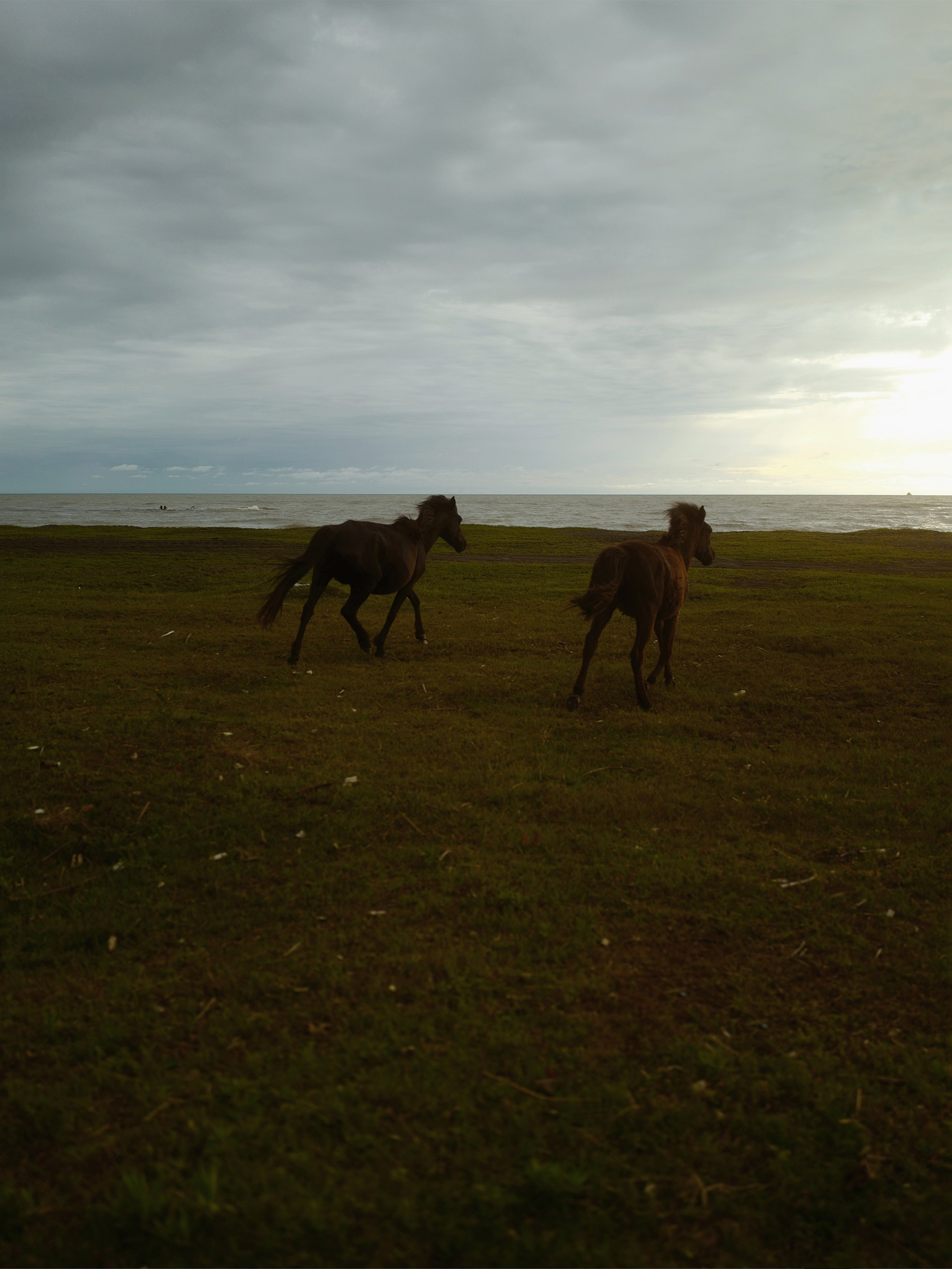Дана Уреки. Fivealeks — Портретная фотография. Обучение. Пресеты