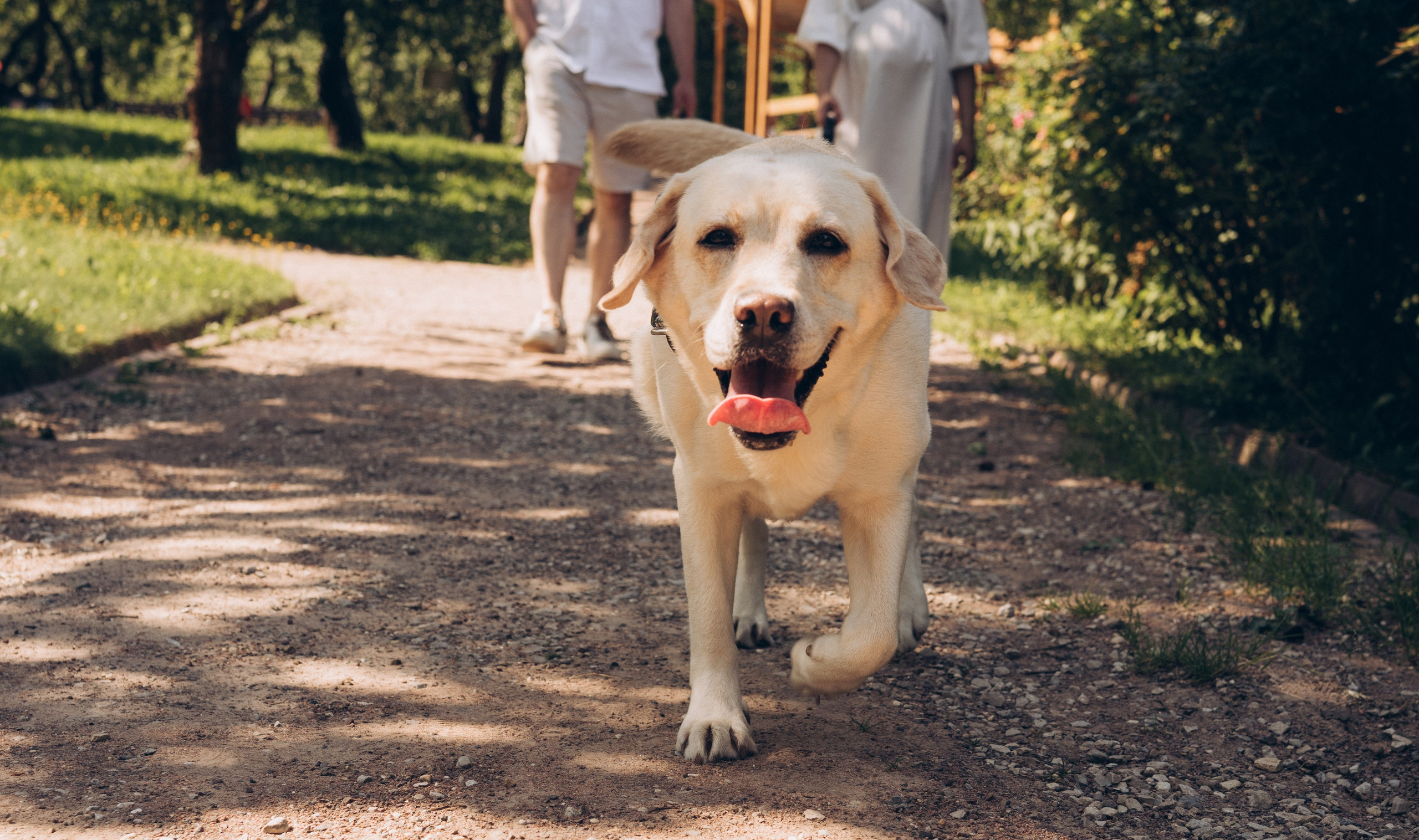 В ожидании нового члена семьи. Семейный, ньюборн фотограф, фотограф на роды в Москве, Виктория Тюльдюкова